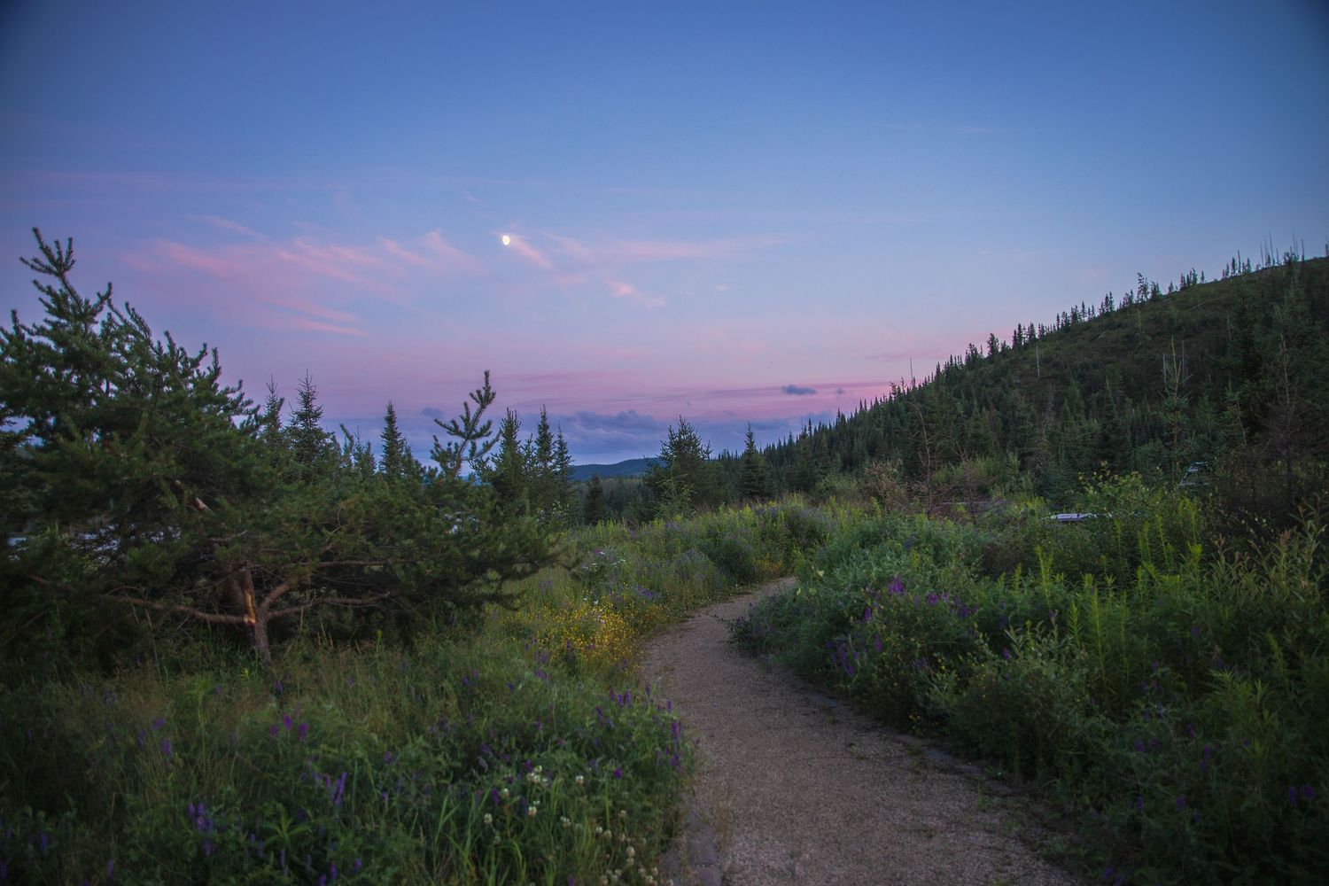 Scenic mountain trail through evergreen forest at sunset with pink and purple sky.