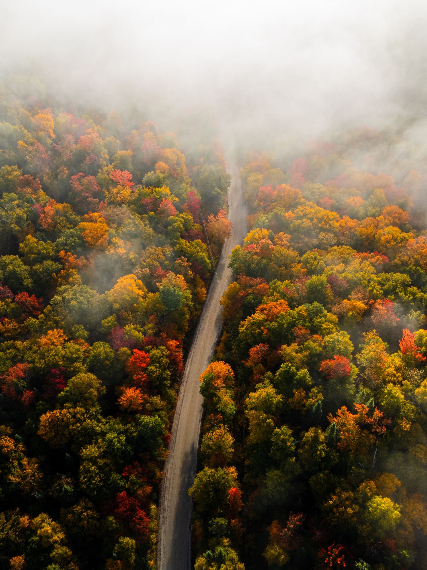 Winding road through vibrant autumn forest with orange and yellow foliage viewed from above in misty conditions.