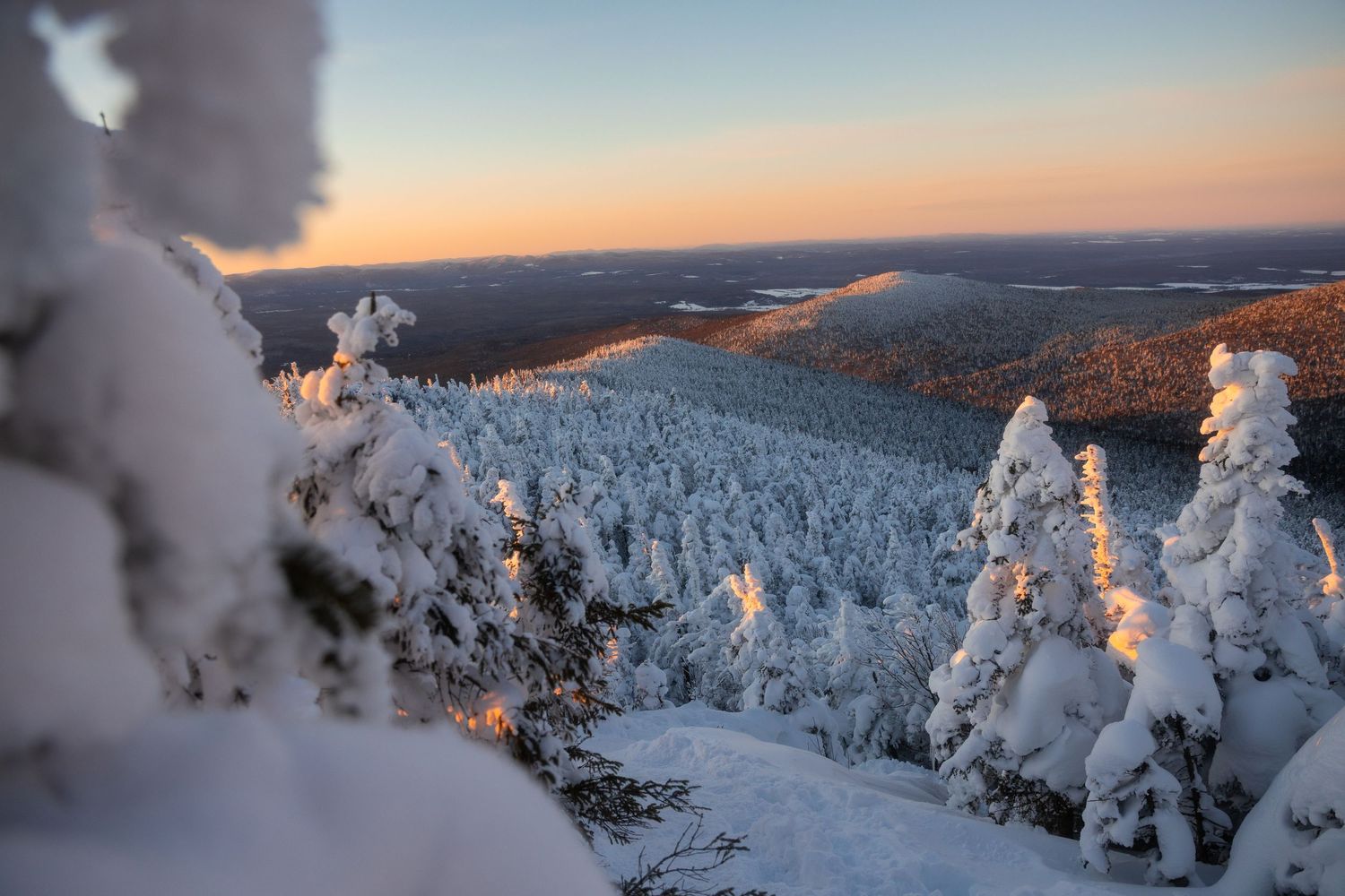 Snow-covered forest landscape illuminated by warm sunset light in winter mountains.