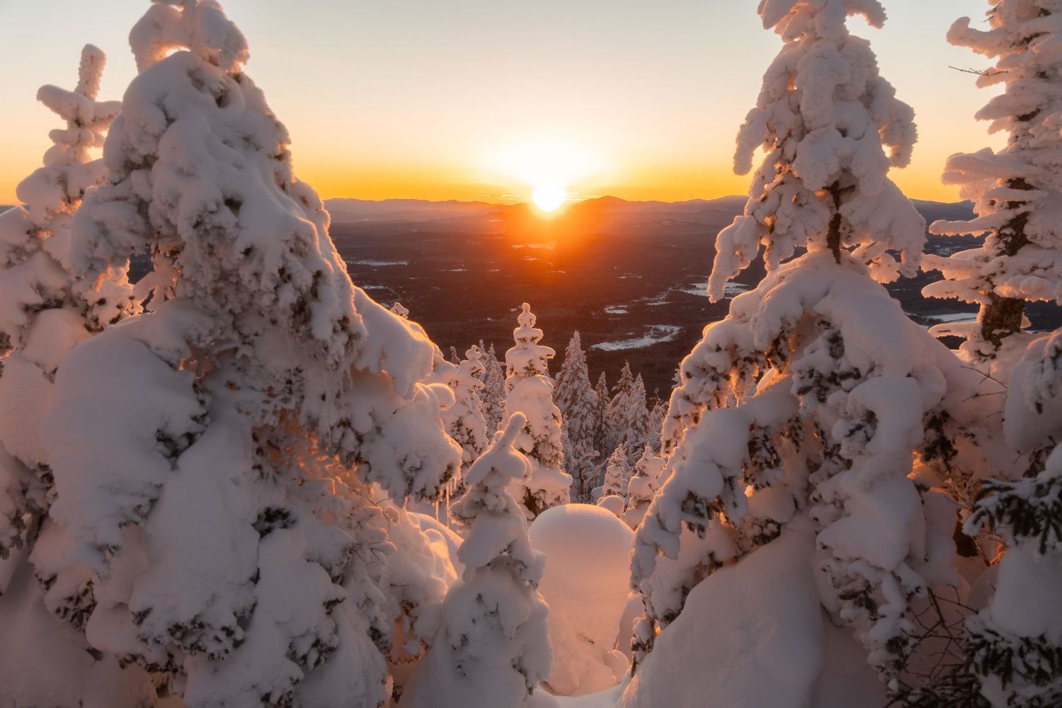 Snow-laden trees catching golden sunlight during sunset in a winter mountain landscape.