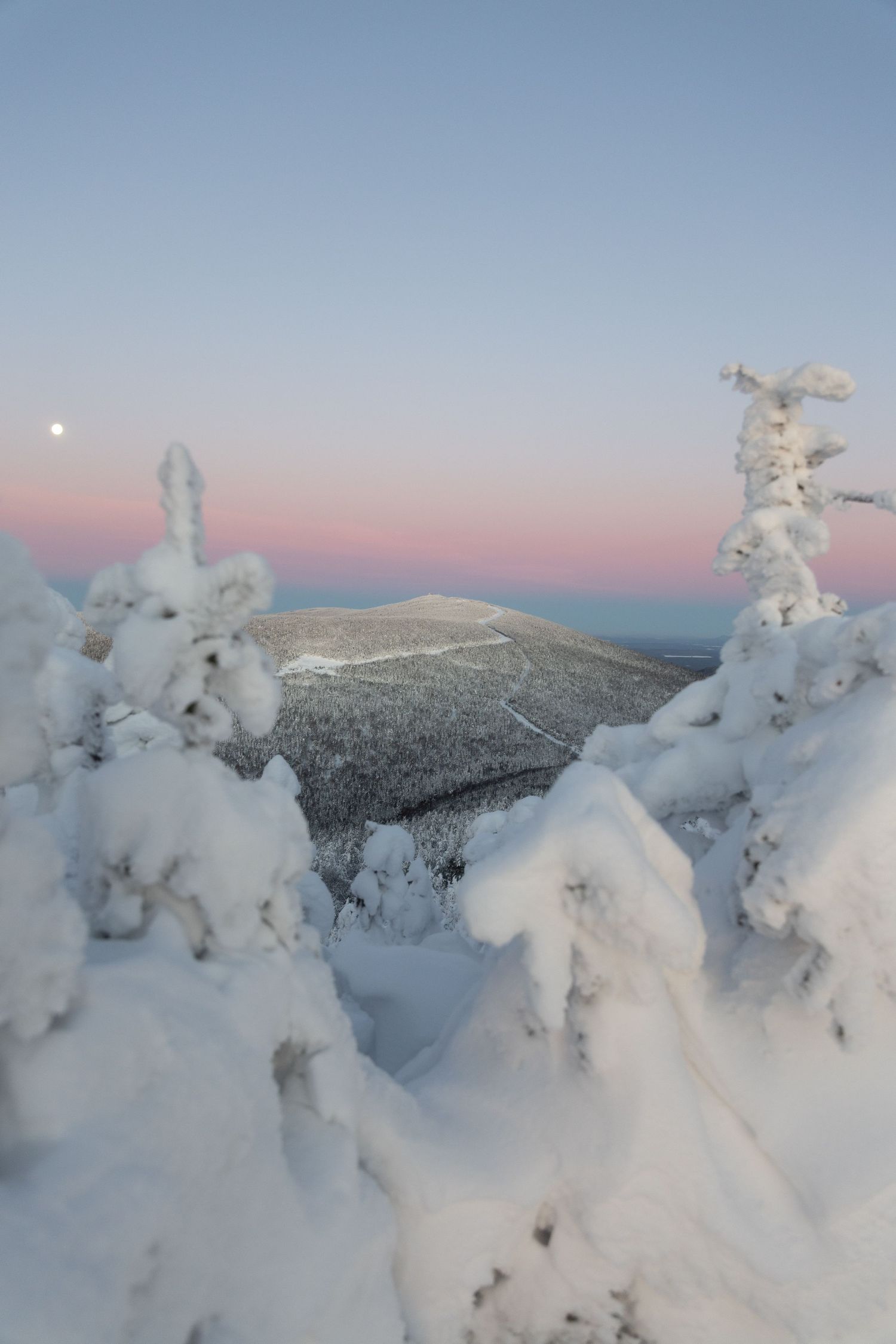 Snow-covered mountain landscape with frost-covered trees under a pastel winter sky.