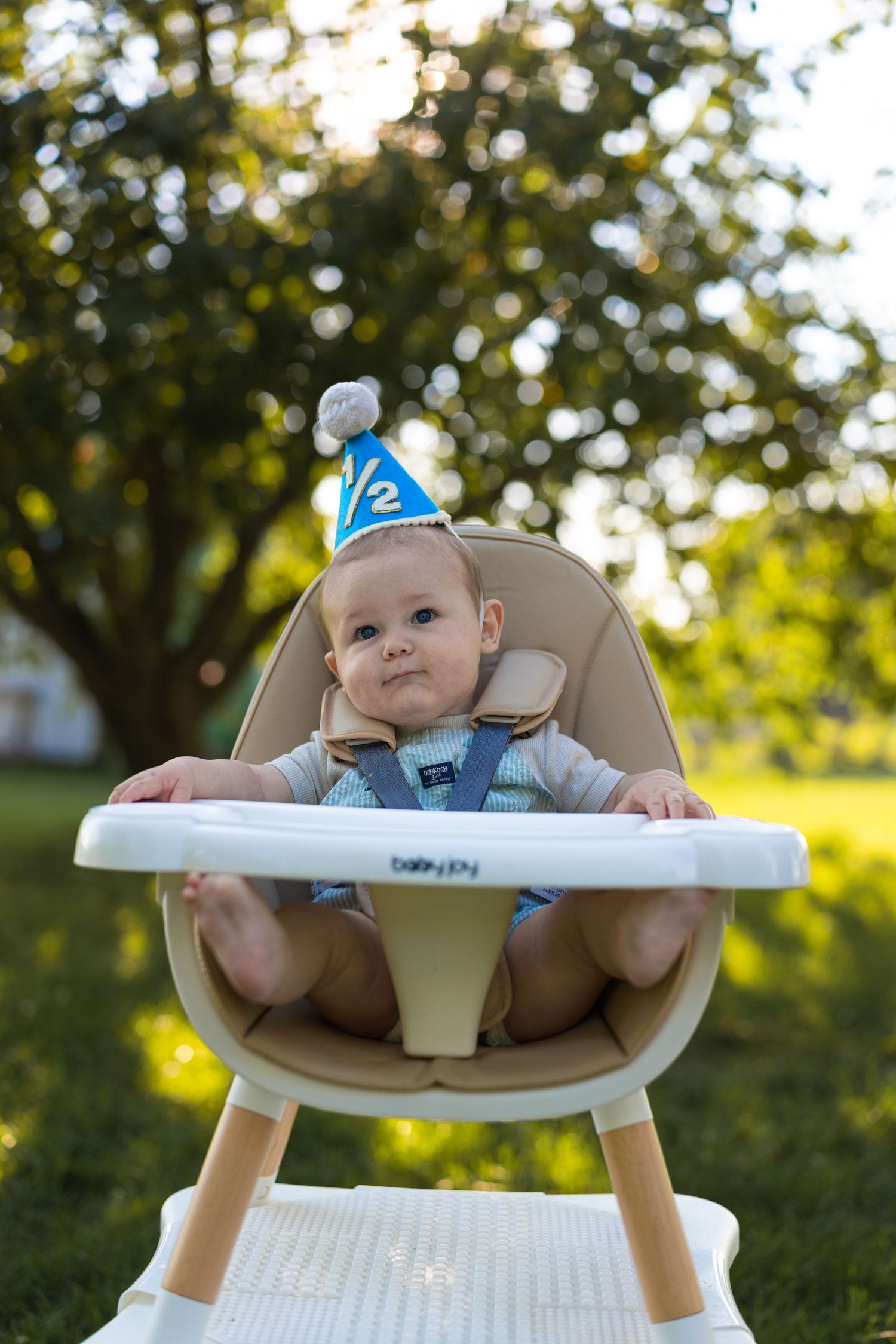 Baby in blue half birthday hat sits in high chair outdoors, celebrating their 6-month milestone in a sunny green garden.