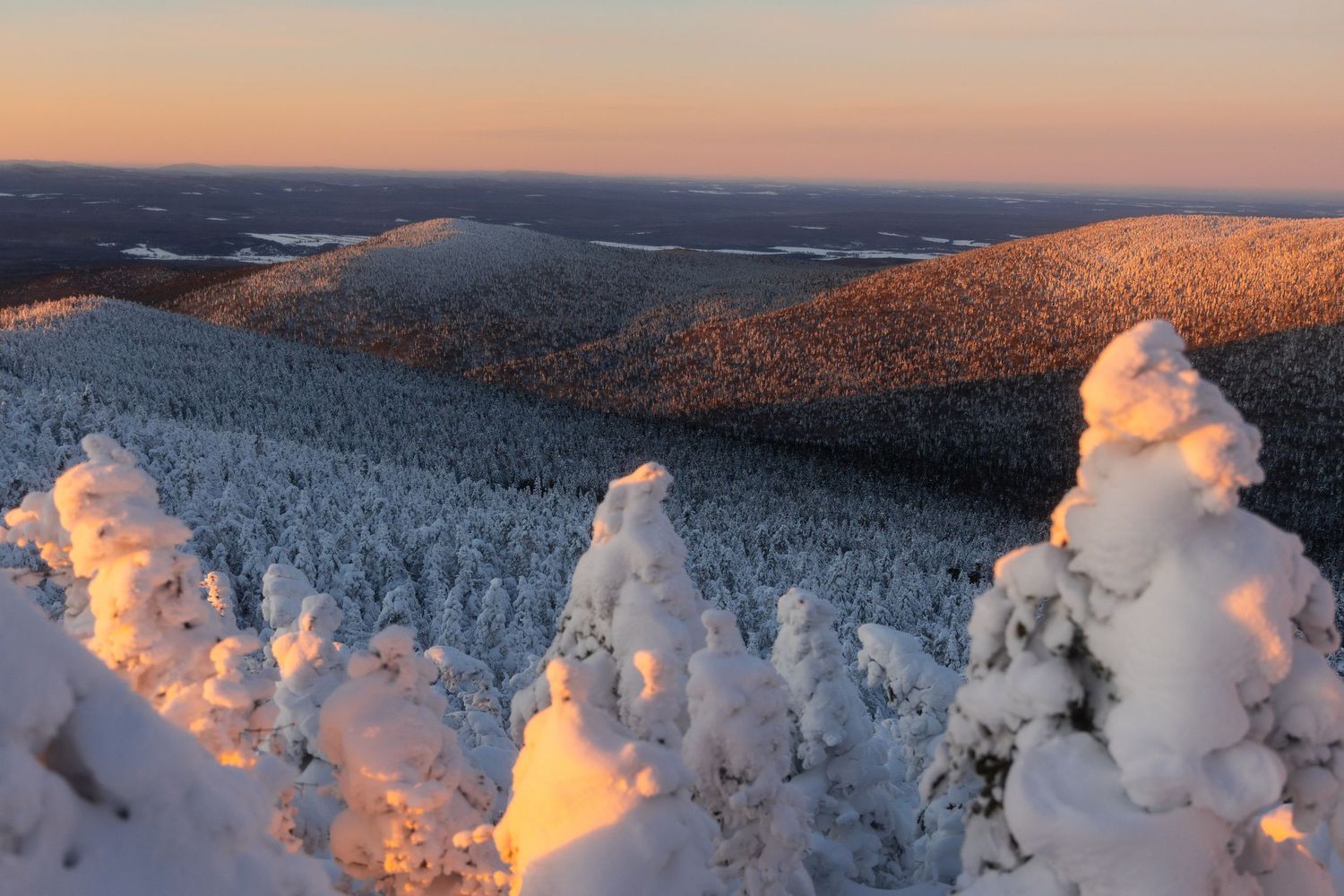 Snow-covered evergreen trees silhouetted against a winter sunset in a mountainous landscape.