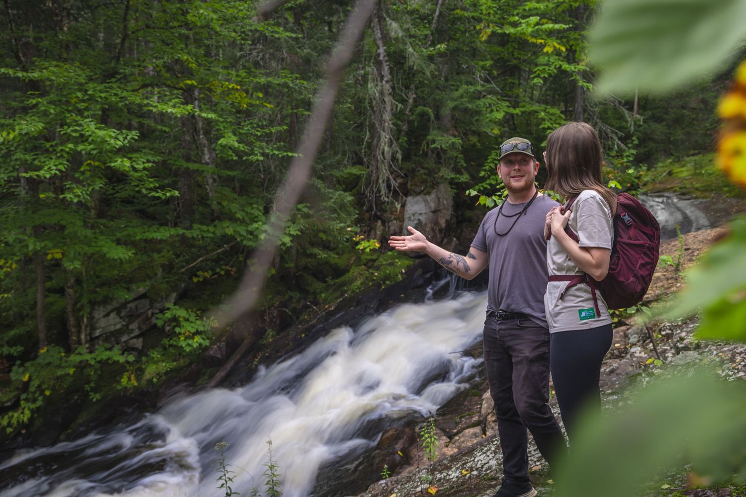 Rushing waterfall cascading through lush green forest setting.