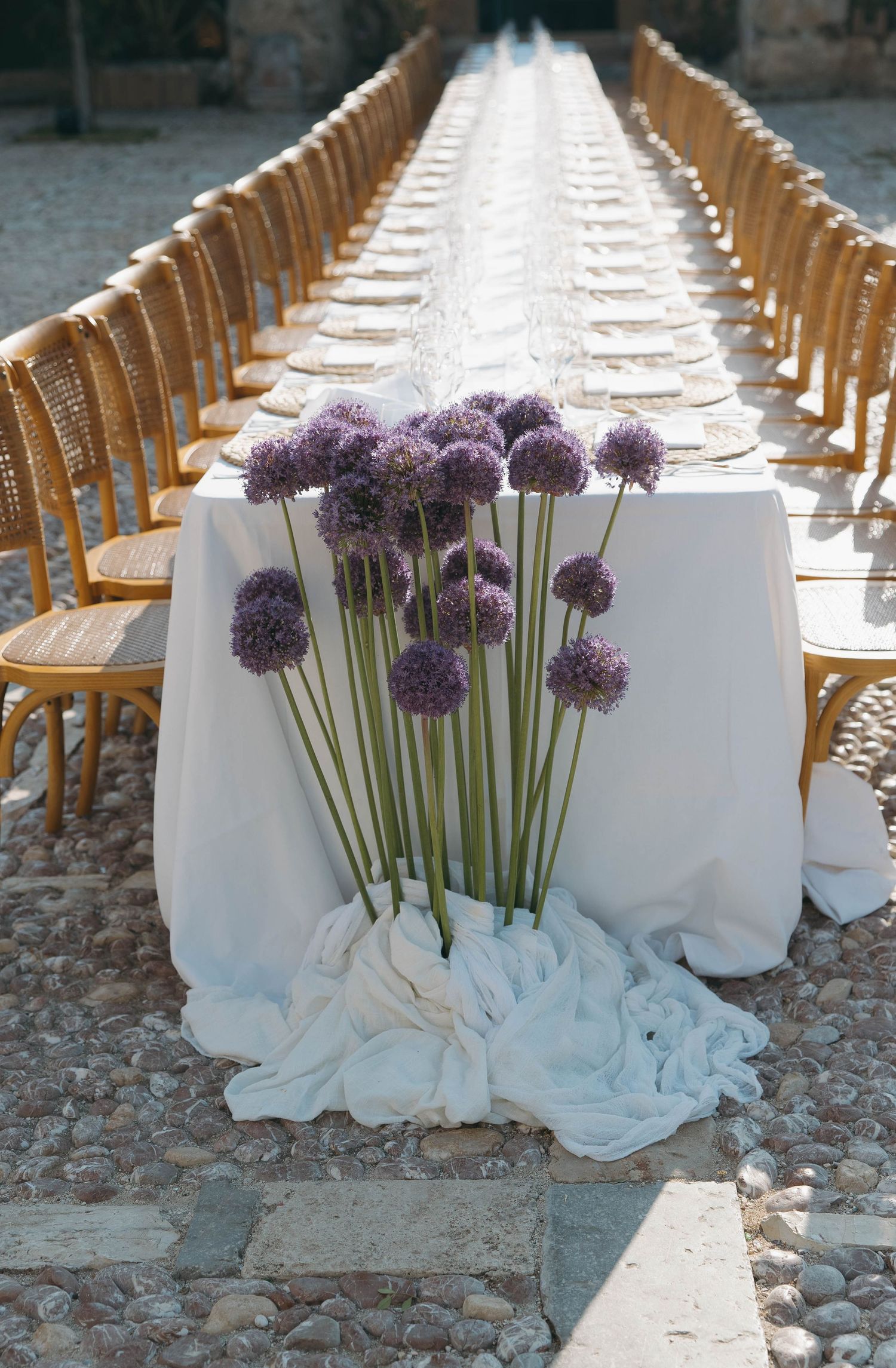 Elegant outdoor table setting with rows of wooden chairs and purple allium floral arrangements.