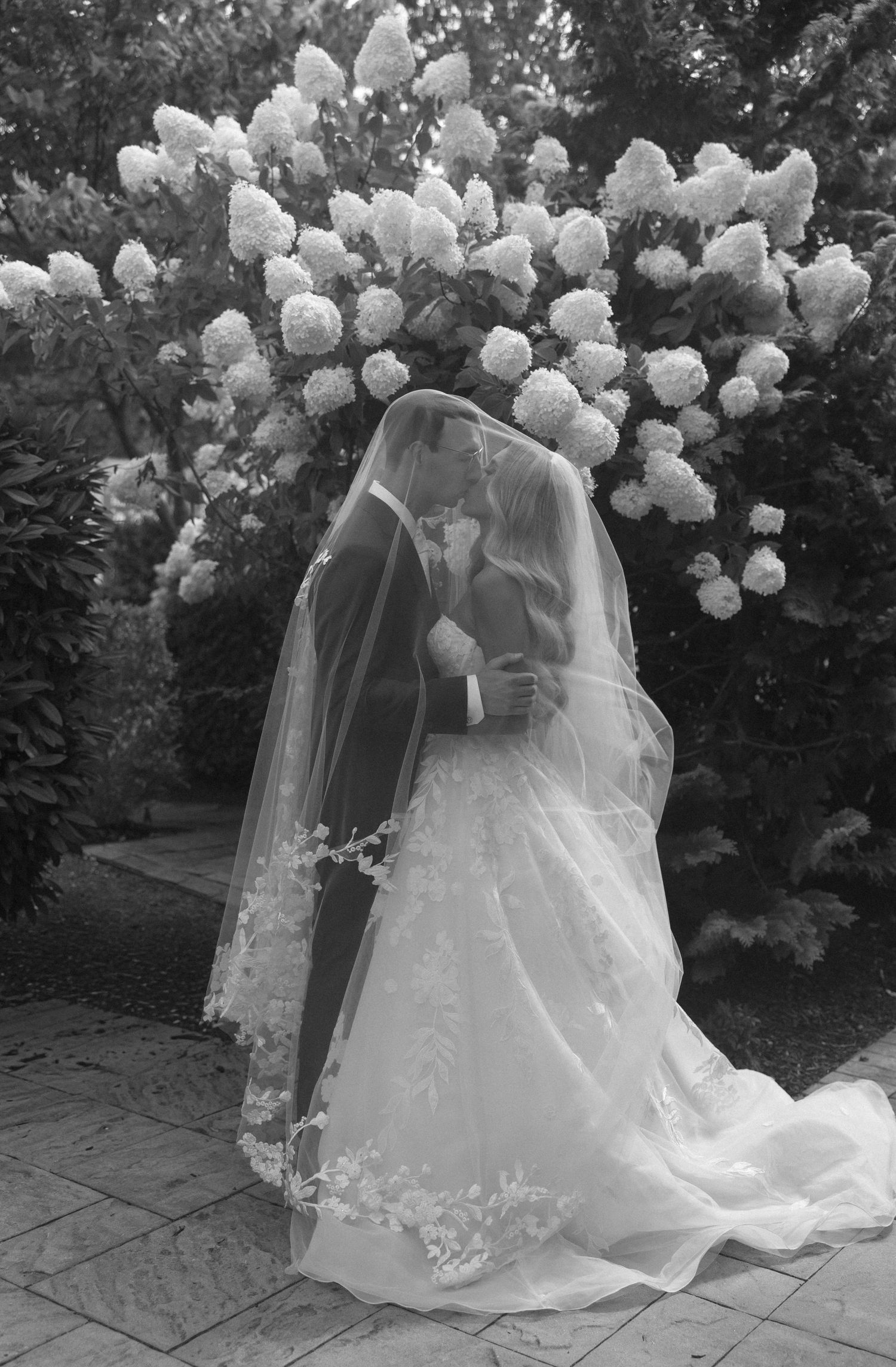 Black and white photo of a bride and groom kissing under a blooming hydrangea bush, the veil flowing gracefully around them.