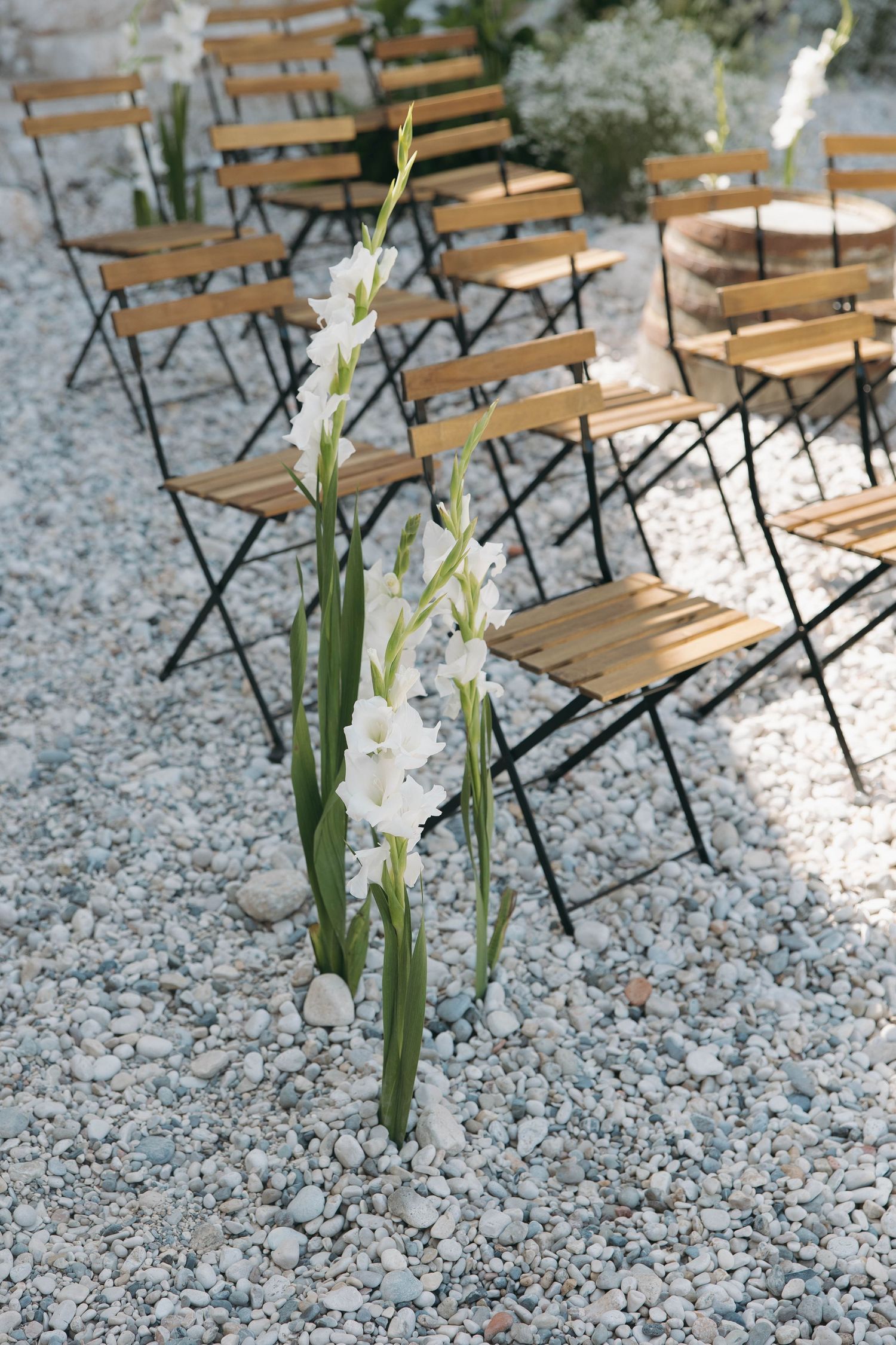 Wooden folding chairs arranged on a pebbly beach with white gladiolus flowers in the foreground.