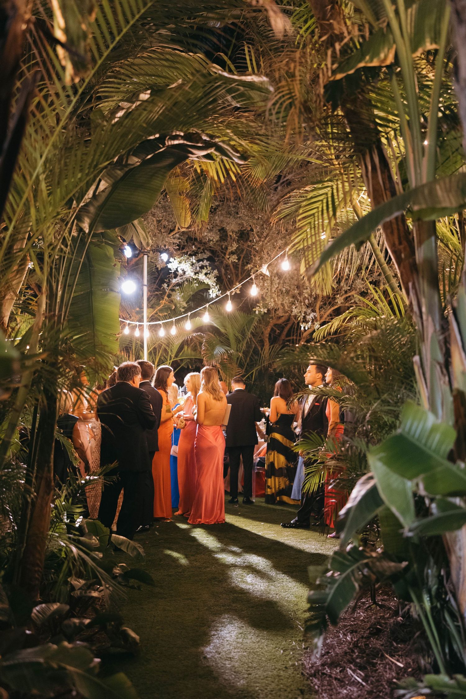 Evening garden reception with string lights illuminating a tropical palm-lined pathway.