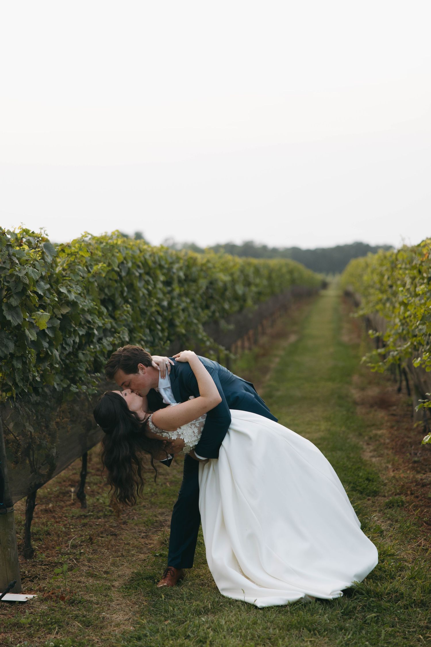 A romantic dip pose between vineyard rows with lush green grapevines.