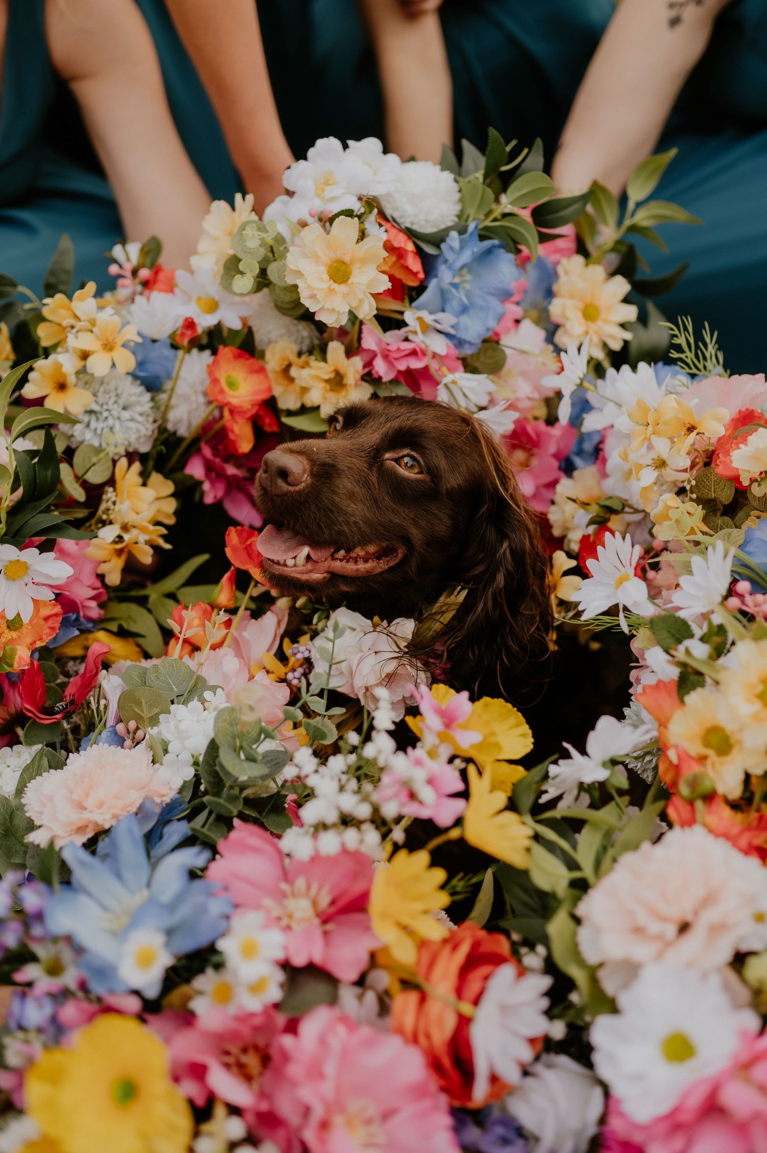 Fun Wedding Photography Portsmouth