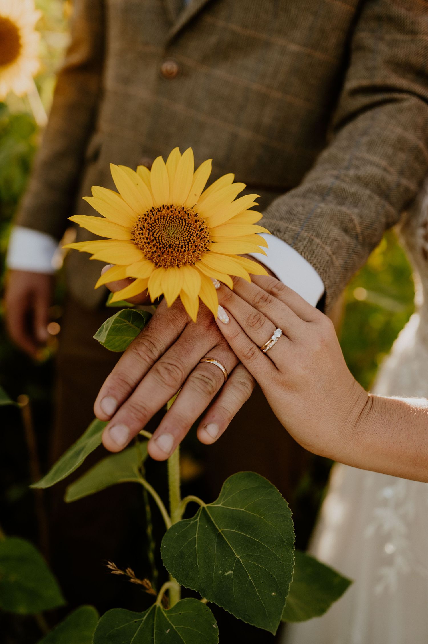 Hampshire Wedding Photographer, Gosport Wedding Photographer, Fareham Wedding Photographer, Portsmouth Wedding Photographer