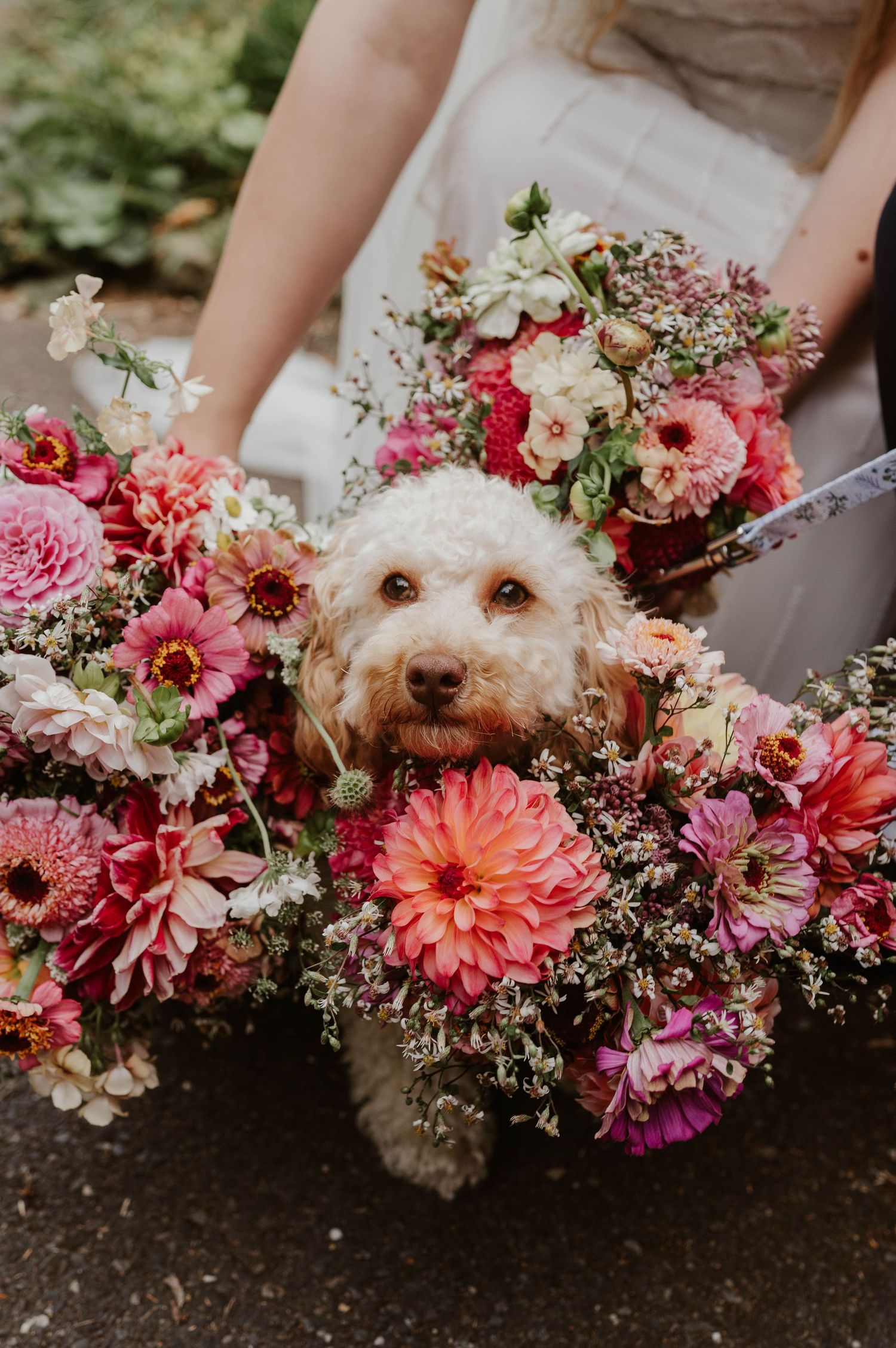 Hampshire Wedding Photographer, Gosport Wedding Photographer, Fareham Wedding Photographer, Portsmouth Wedding Photographer