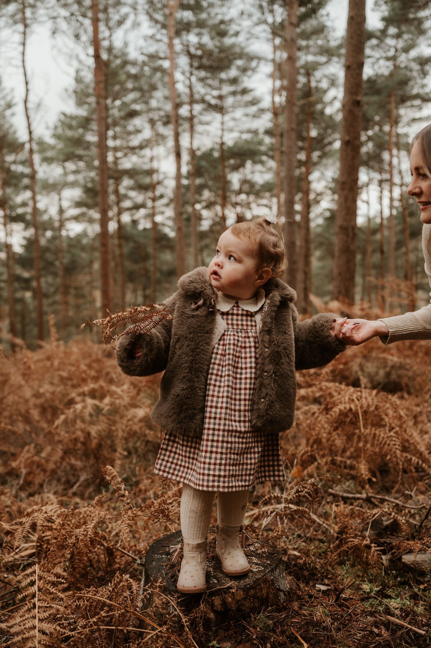 Hampshire Family Photographer, Gosport Family Photographer, Fareham Family Photographer, Portsmouth Family Photographer