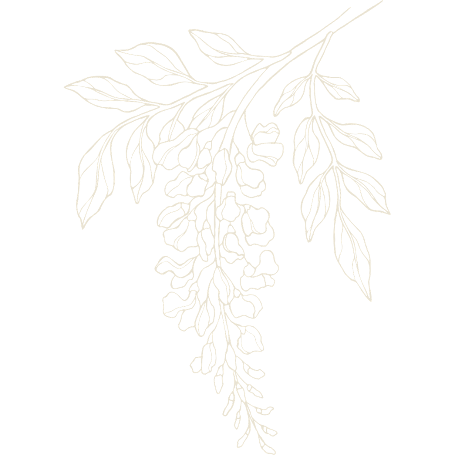 Delicate white floral pattern design on a light background.