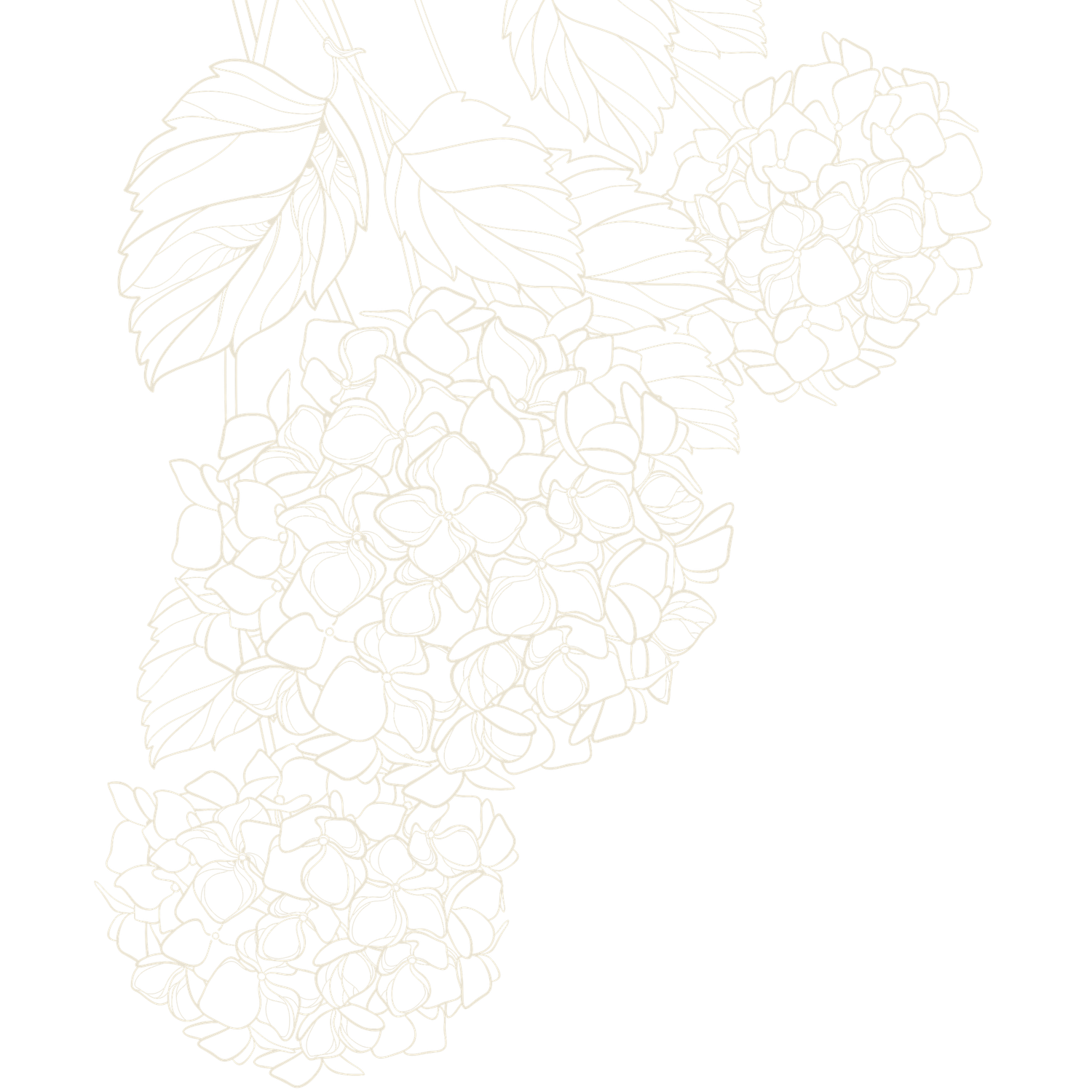Elegant botanical line art pattern featuring cascading leaves and branches.