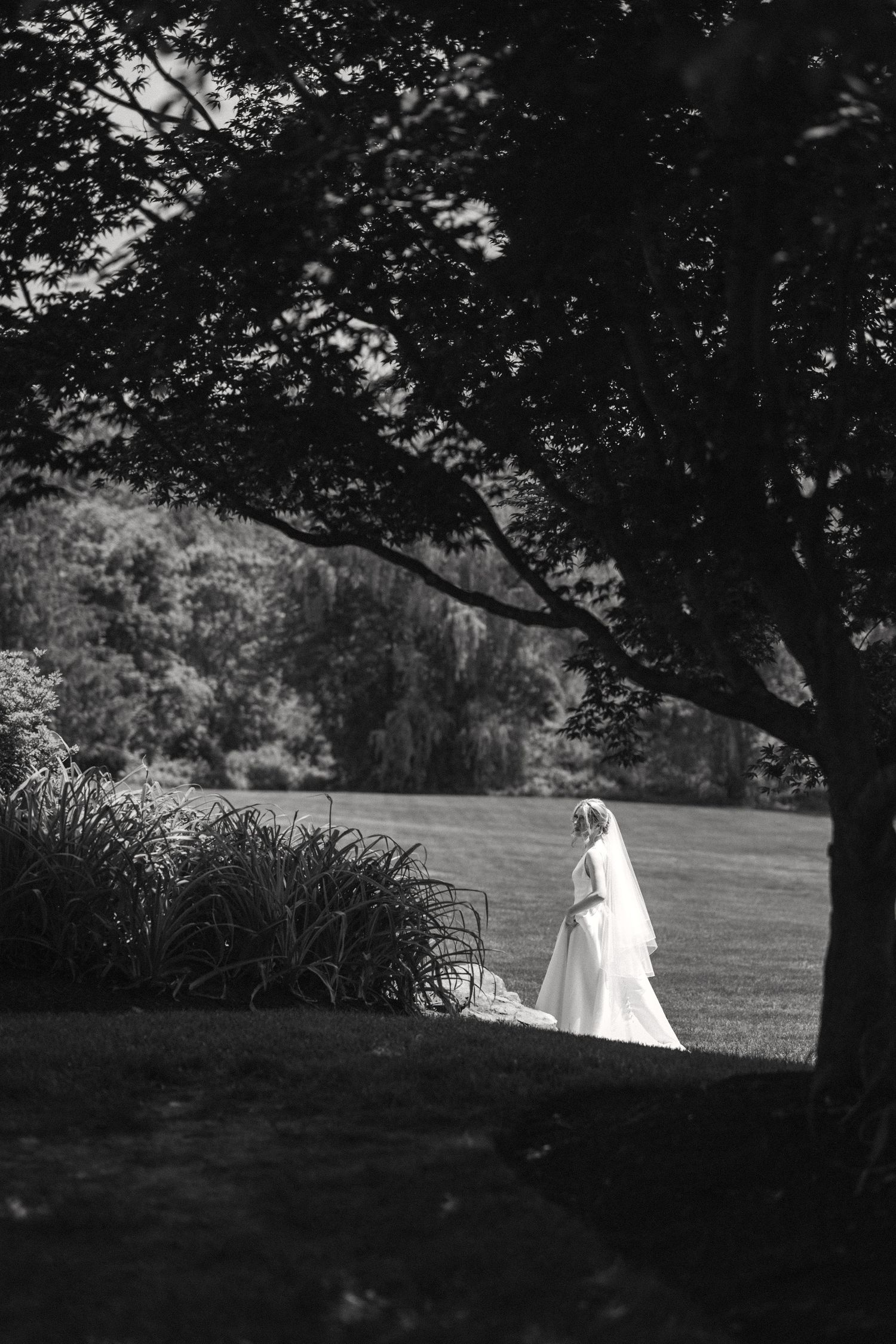 Black and white photo of bride in white gown and veil standing alone in lush garden landscape.