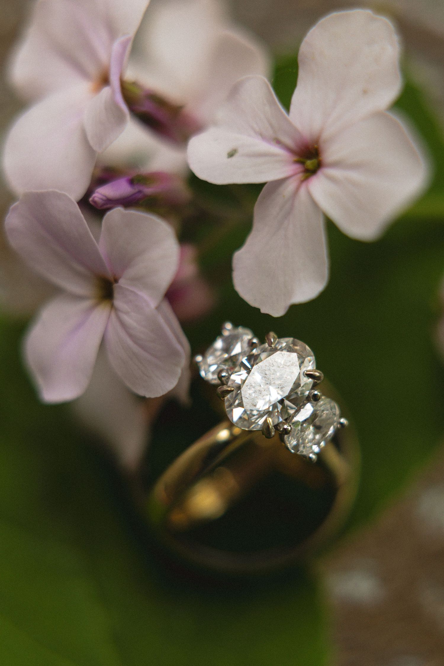 Close-up of a marquise diamond engagement ring with side stones resting among delicate pink flowers.