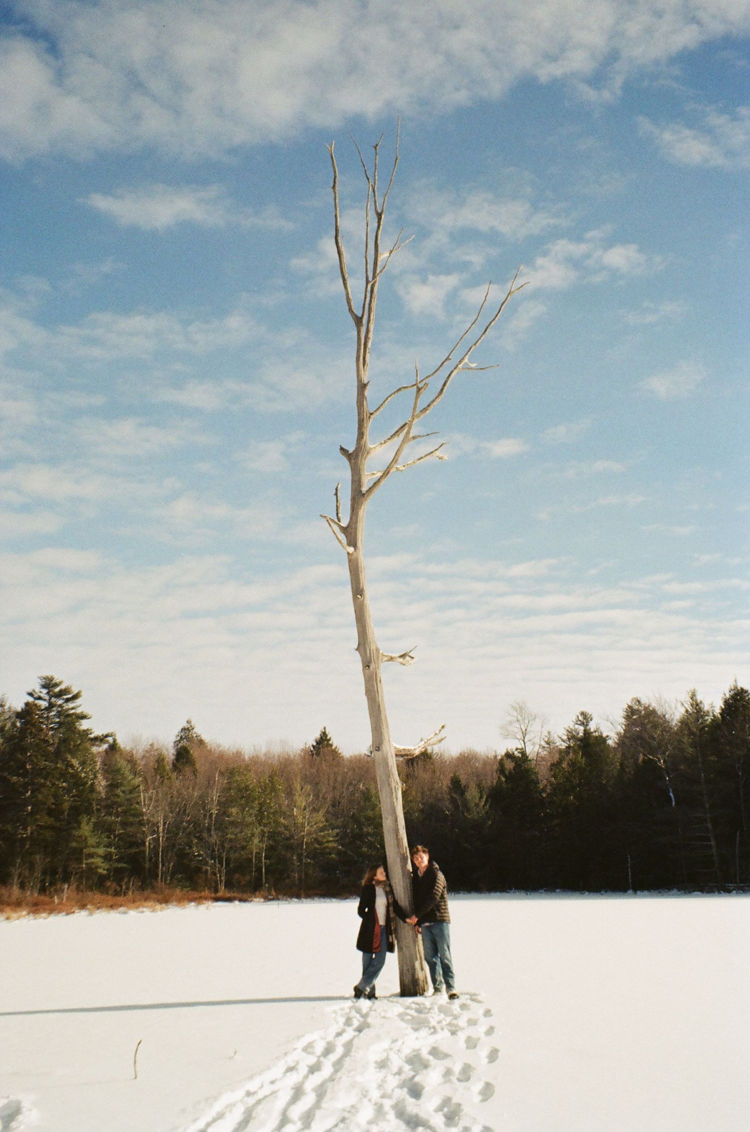 A snowy winter landscape with bare trees and footprints leading to distant figures against a bright blue cloudy sky.