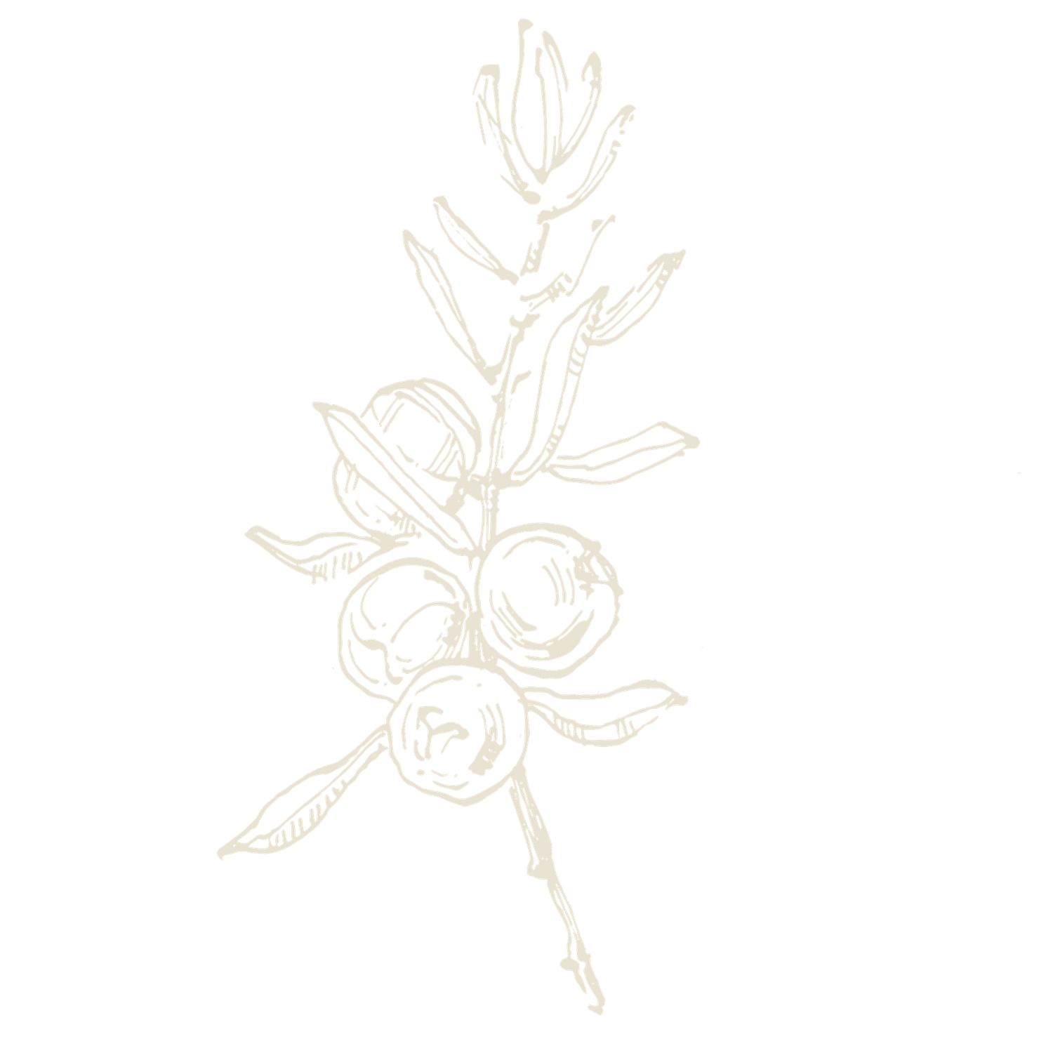 Minimalist floral pattern with delicate stems and leaves in light beige.