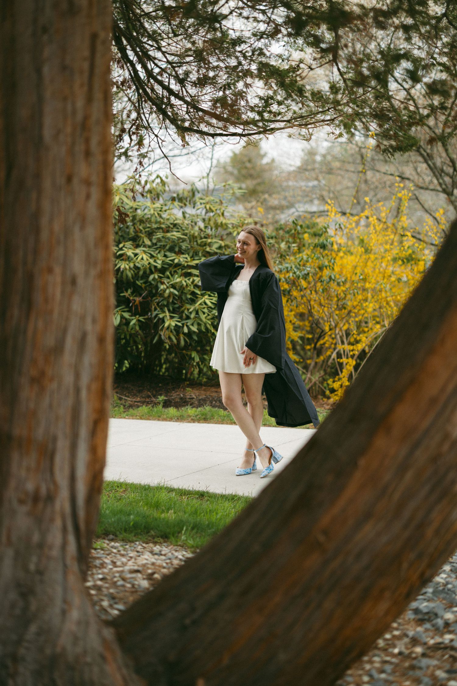 Young woman in graduation gown and white dress poses outdoors among trees and yellow flowering shrubs.