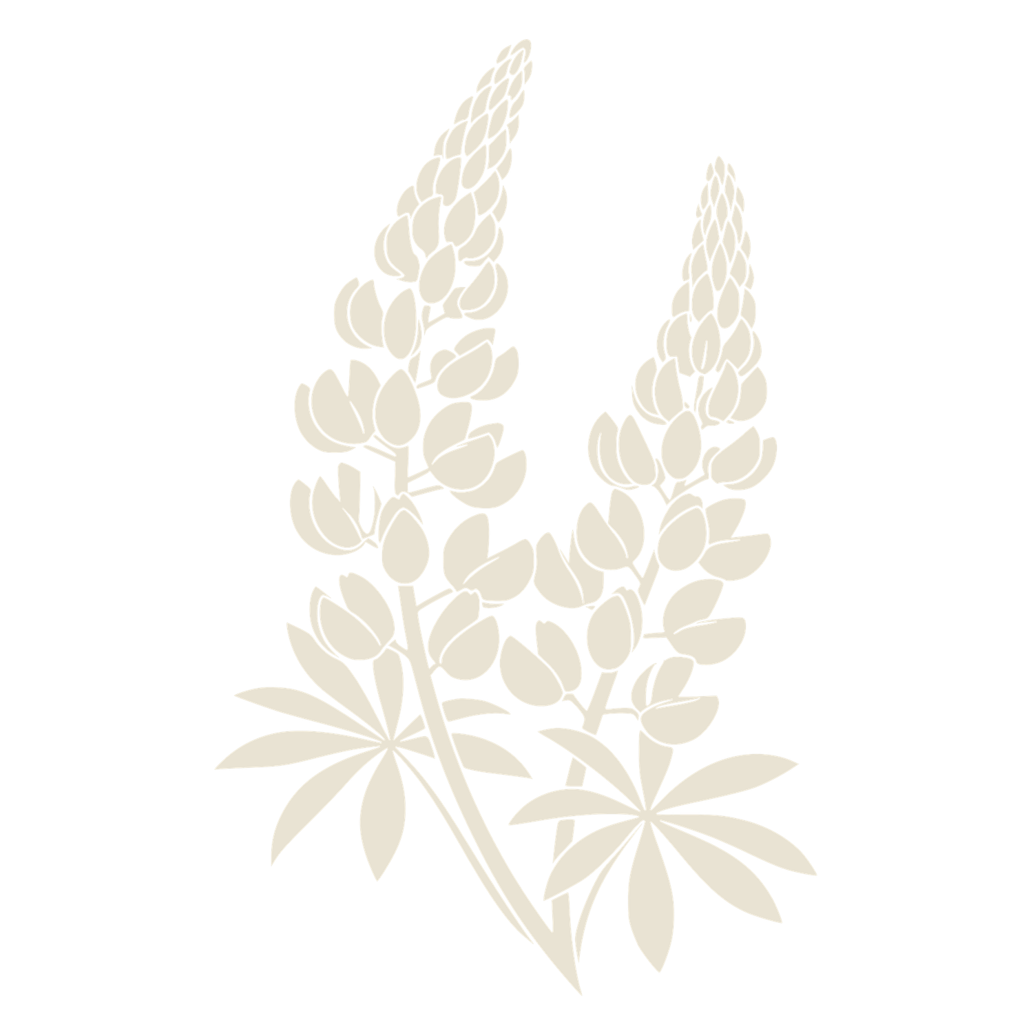 Light beige floral pattern with delicate leaf and flower designs in a repeating decorative motif.