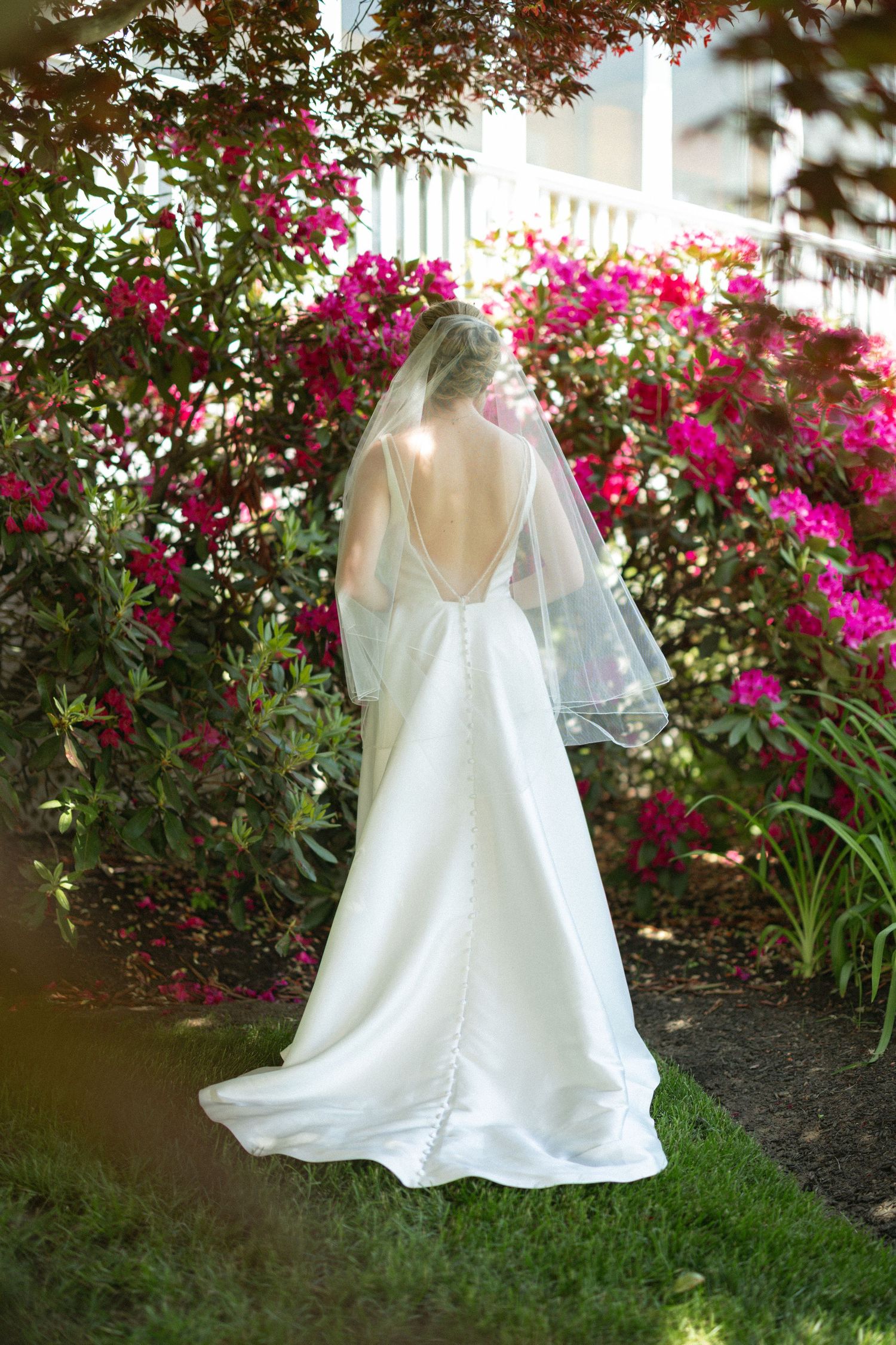 Bride in elegant backless white wedding gown with veil standing among vibrant pink flowering bushes.