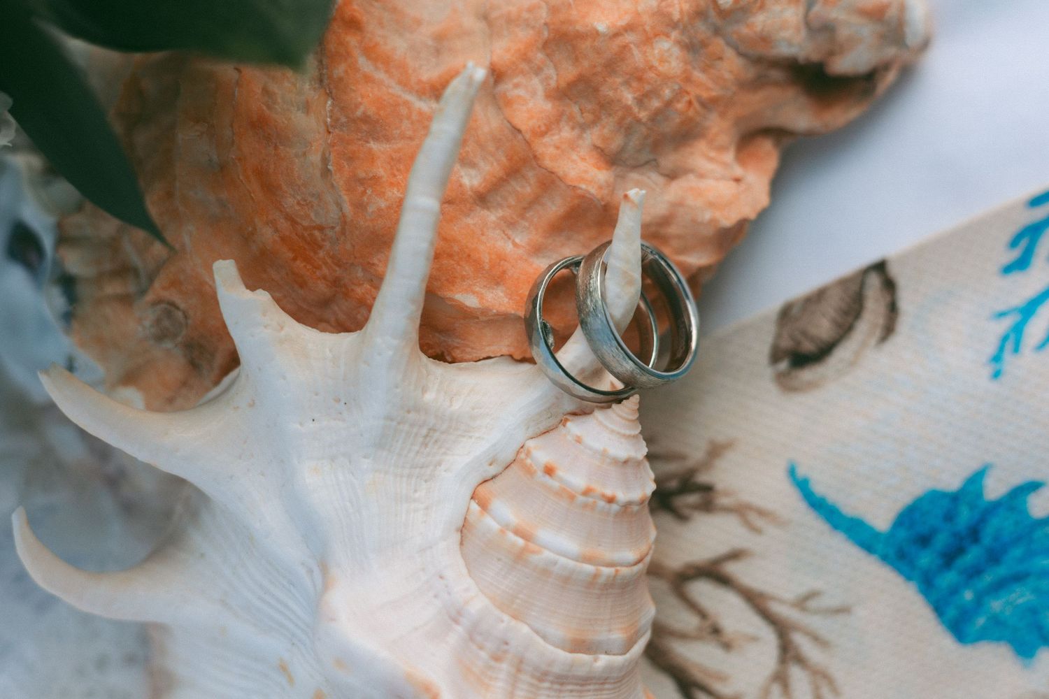 Wedding rings photographed on a textured surface with seashells and blue marine elements.