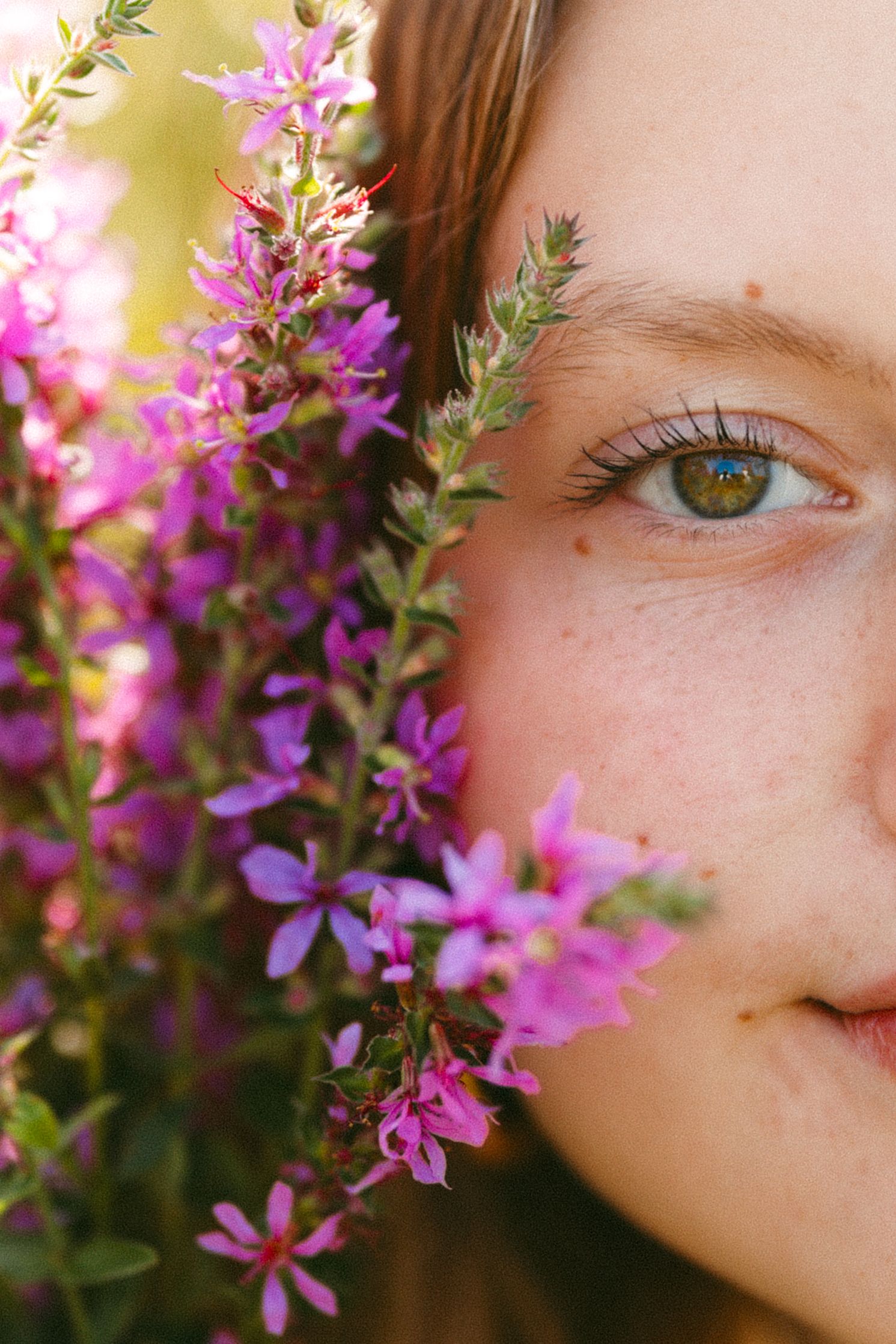 Close-up macro shot of an eye surrounded by delicate purple wildflowers.