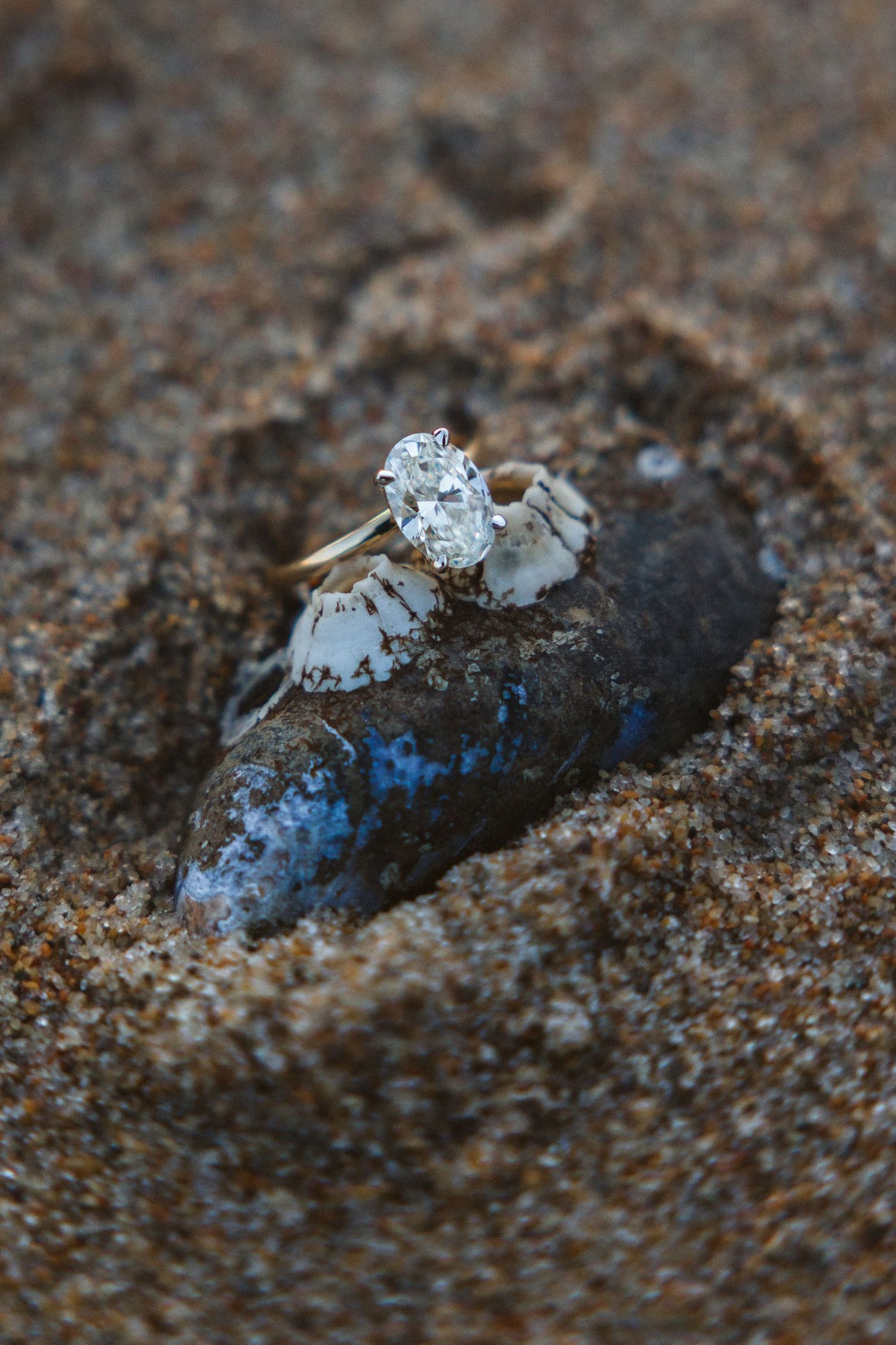 Diamond engagement ring resting on a dark shell partially buried in sandy beach.