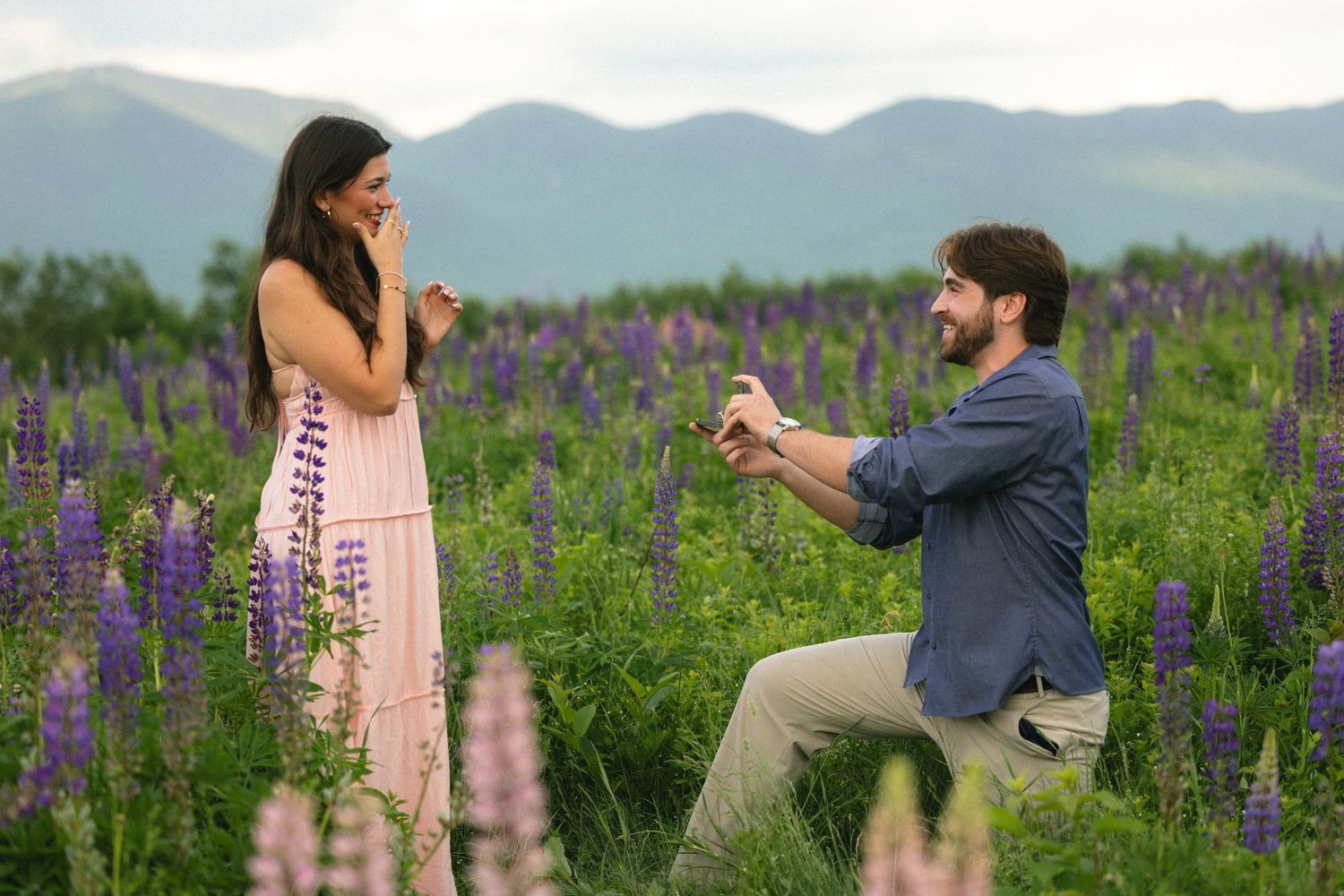 Man proposing to woman in a field of purple lupine flowers with mountains in the background.