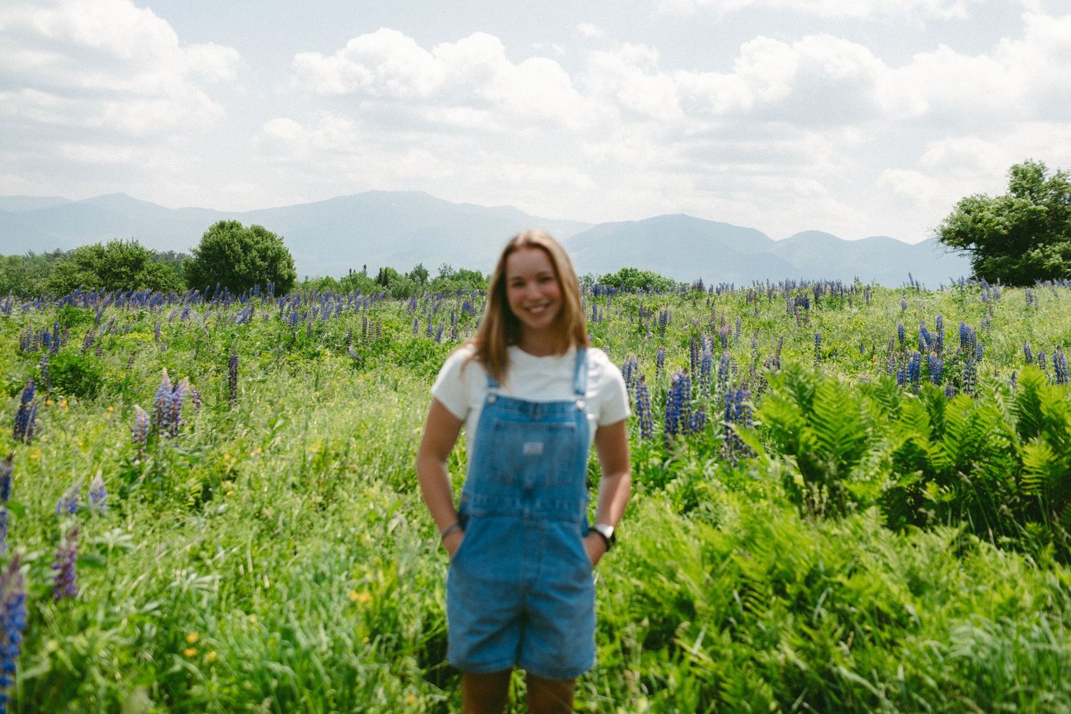 Person in blue overalls stands in a vibrant field of purple wildflowers on a sunny day.