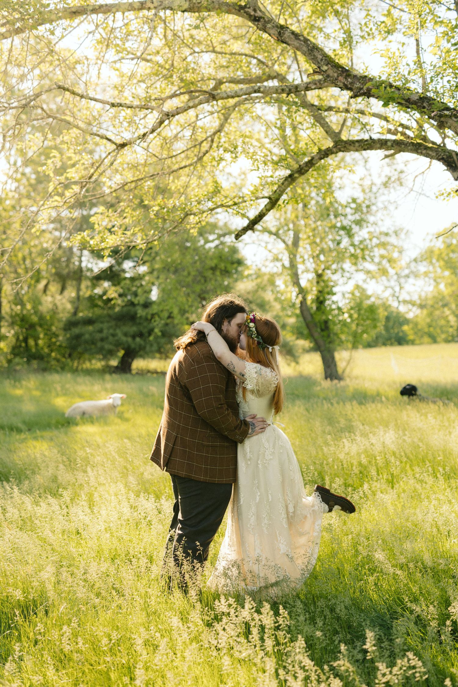 Bride and groom embracing in sunlit meadow with lush green trees, white dress and brown tweed suit wedding portrait.