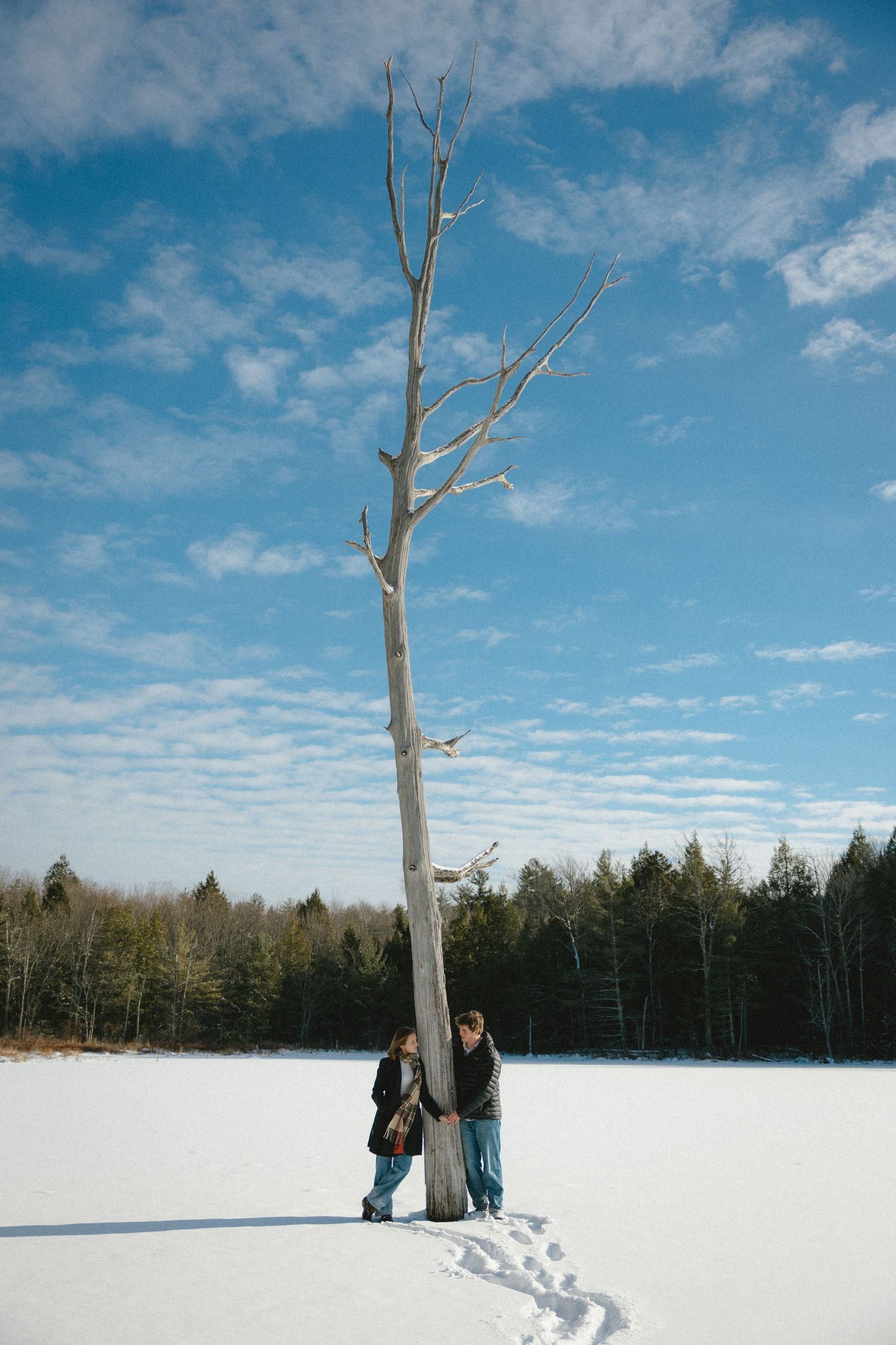 A panoramic winter scene shows footprints in deep snow leading to a bare tree against a bright blue sky with wispy clouds.