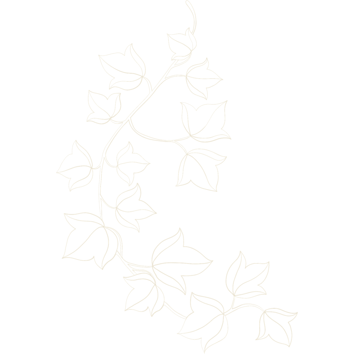 Delicate floral line art pattern with leaves and stems in a light beige color.
