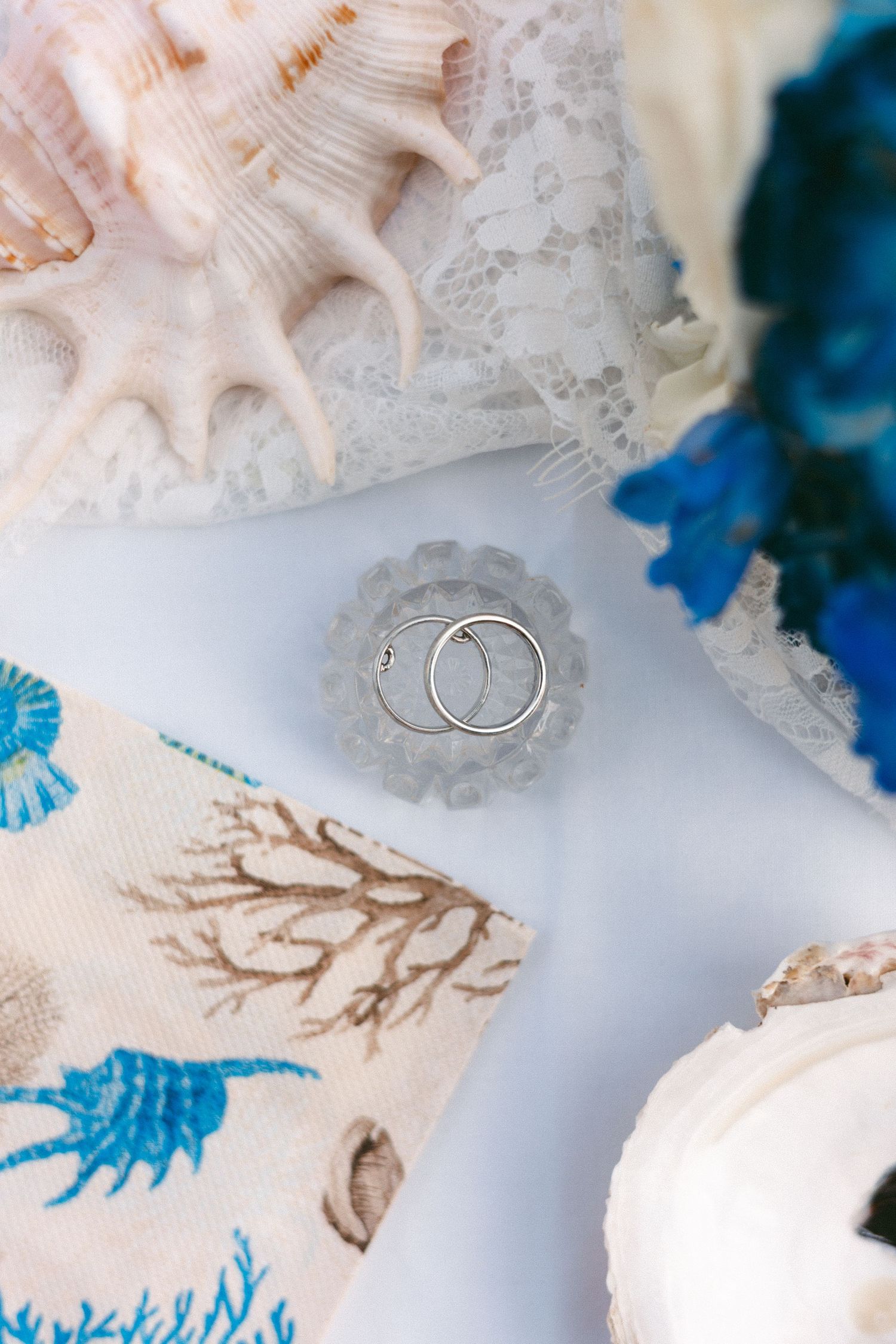 Wedding rings displayed artistically on seashells with blue coral accents.