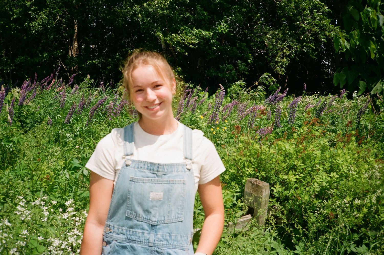 A person in denim overalls stands in a lush garden with vibrant purple flowers and green foliage.