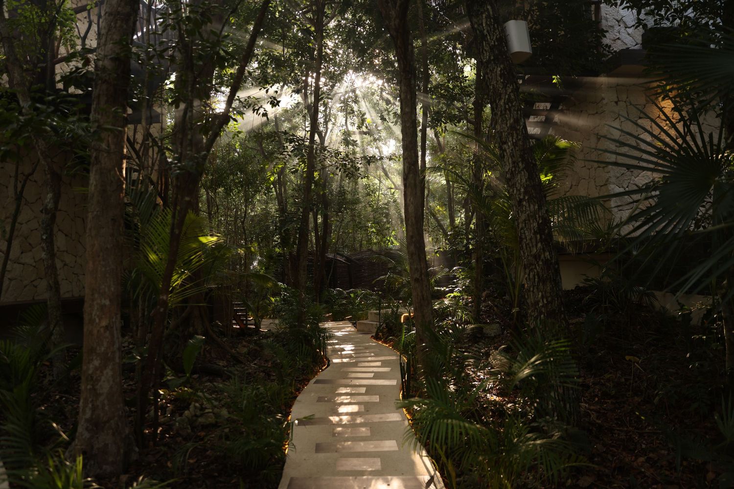 Sunlight rays streaming through tropical jungle trees onto a stone pathway leading to eco resort.