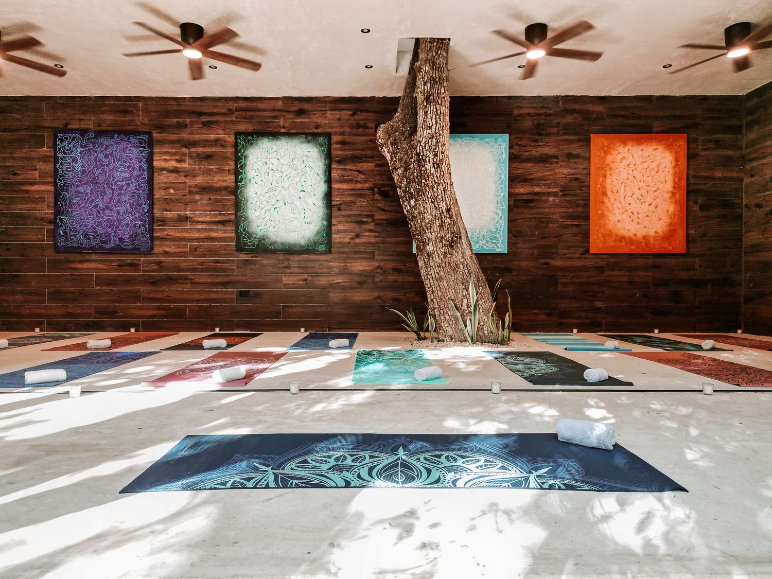 Serene yoga studio with colorful abstract wall art, yoga mats on floor, wooden walls, and a natural tree trunk centerpiece.