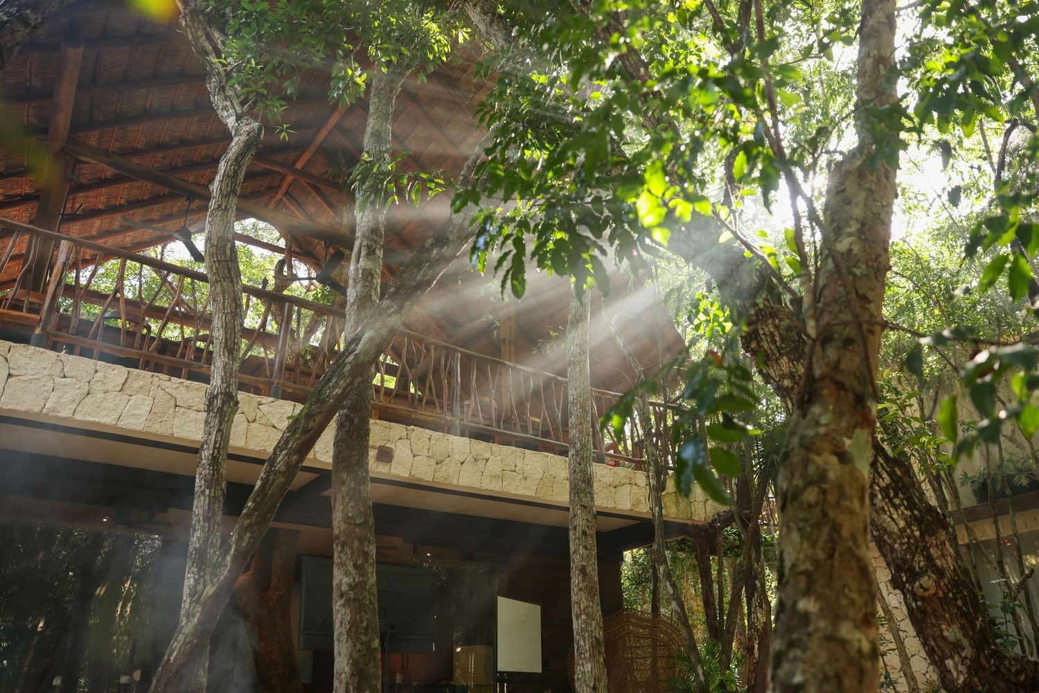 Sunlight filters through lush tropical trees onto a rustic wooden elevated structure in a dense jungle setting.
