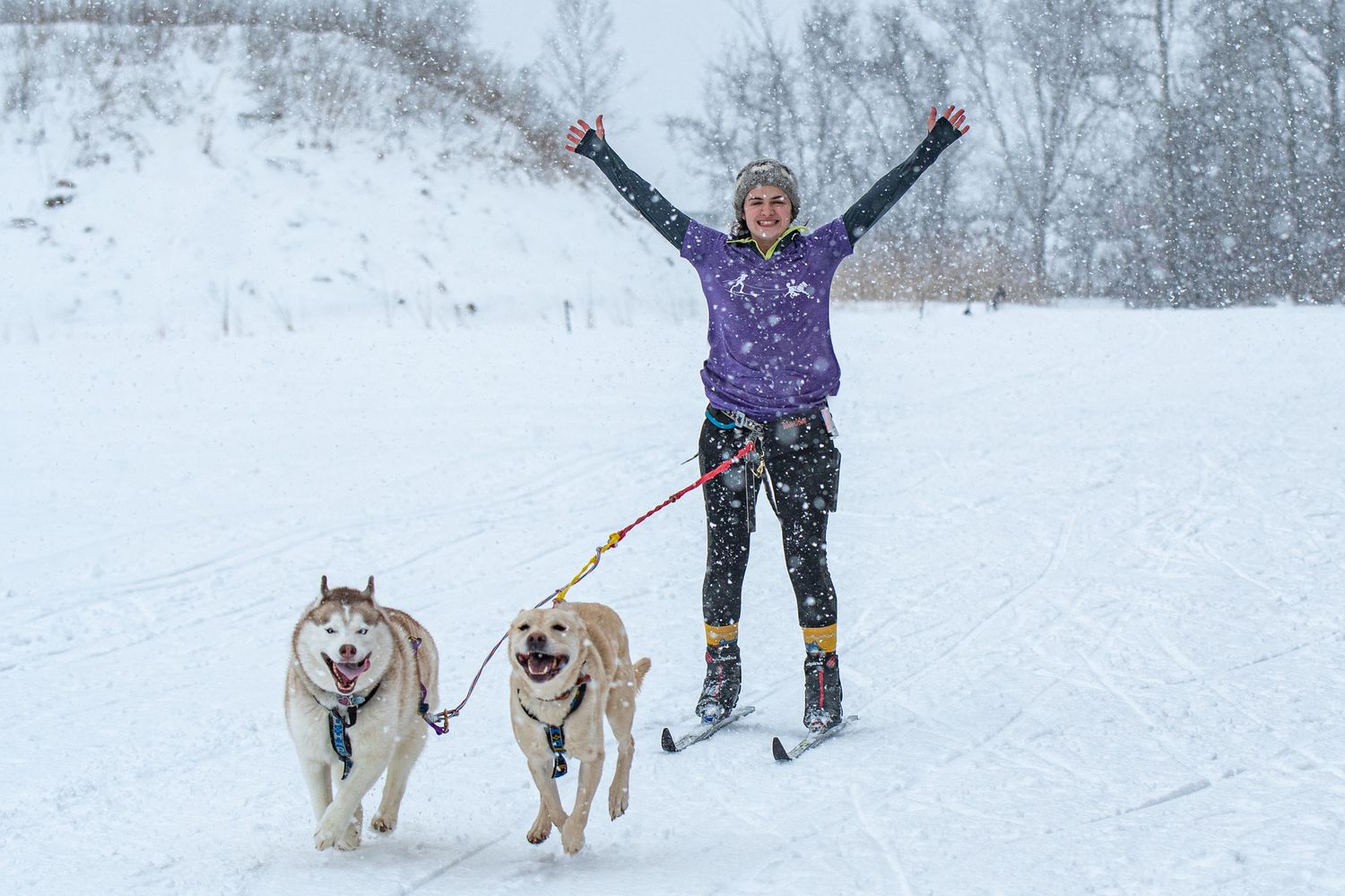 Heather Peatman, of Just Chasing Fireflies Photography skijoring with her two dogs along a snowy Vermont trail