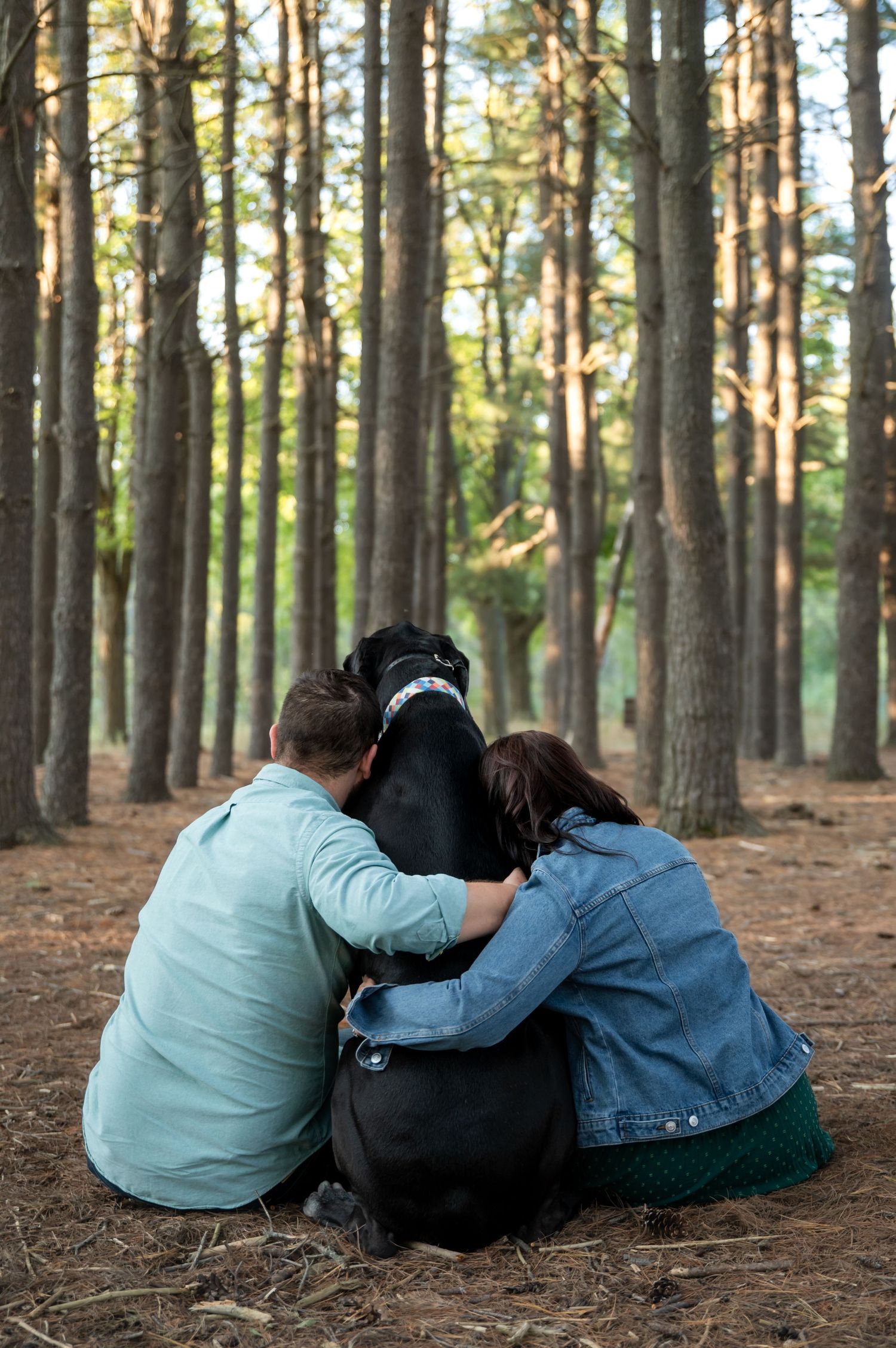 A couple sits with their black dog in a pine forest on a bed of fallen pine needles.