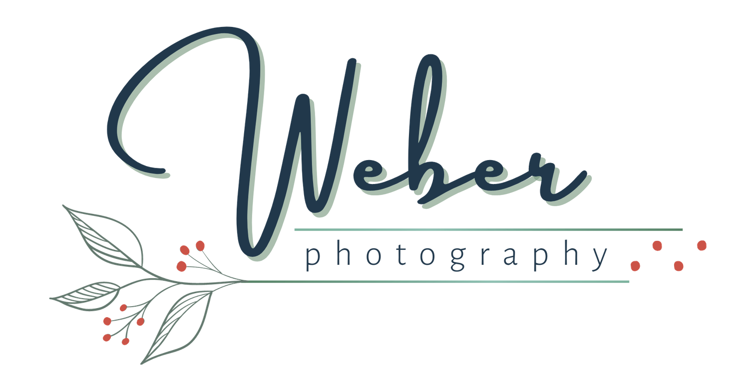 A modern photography logo design featuring 'Weber' text with decorative leaves and red dots in gray and black colors.