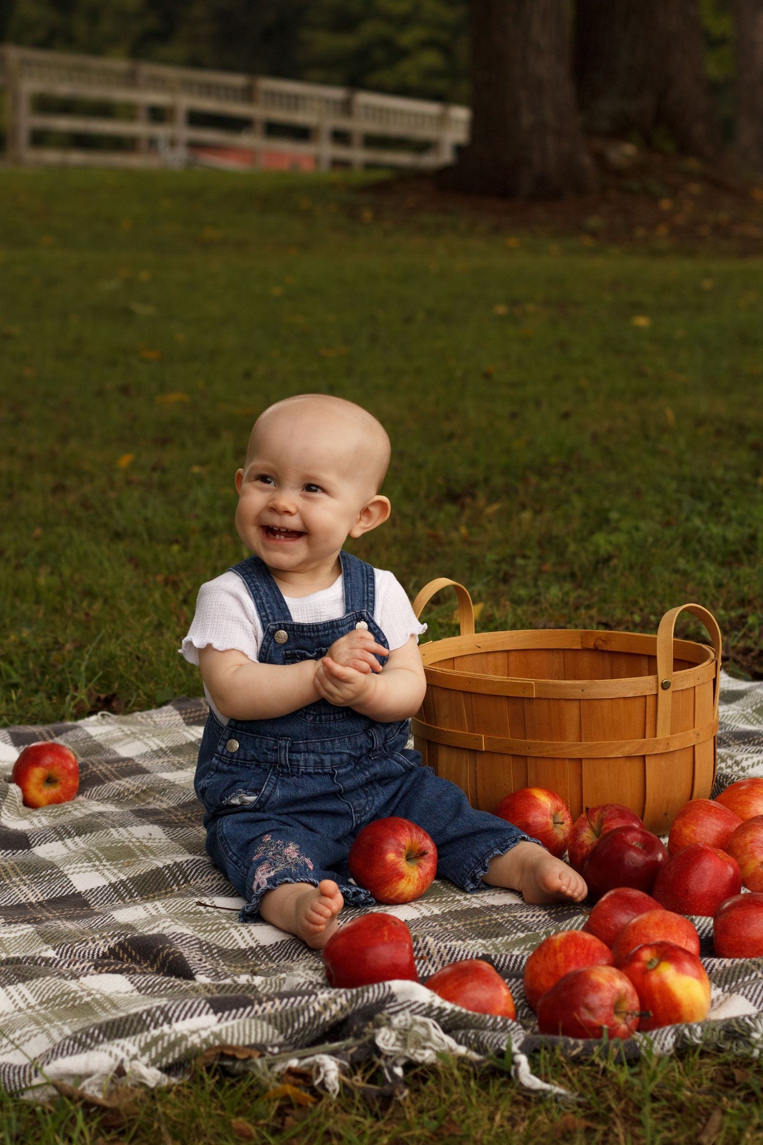 Baby sitting on a blanket surrounded by apples during a fall milestone photography session in Tunnel Hill, Georgia.
