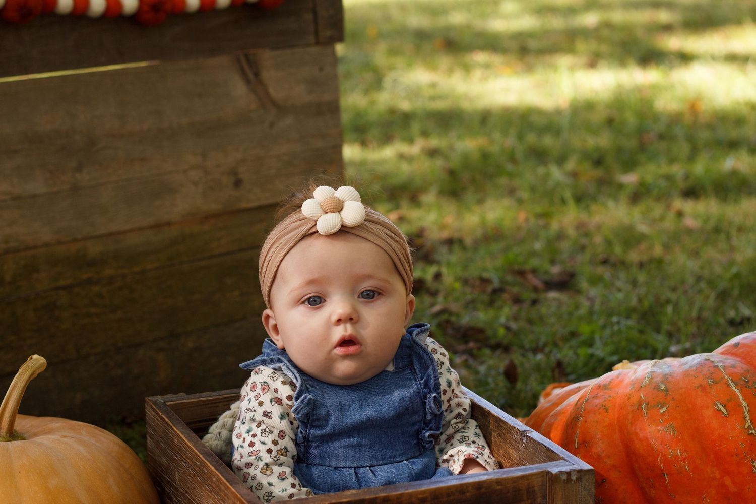 Baby girl sitting in a wooden box surrounded by pumpkins during a fall mini session in Tunnel Hill Georgia
