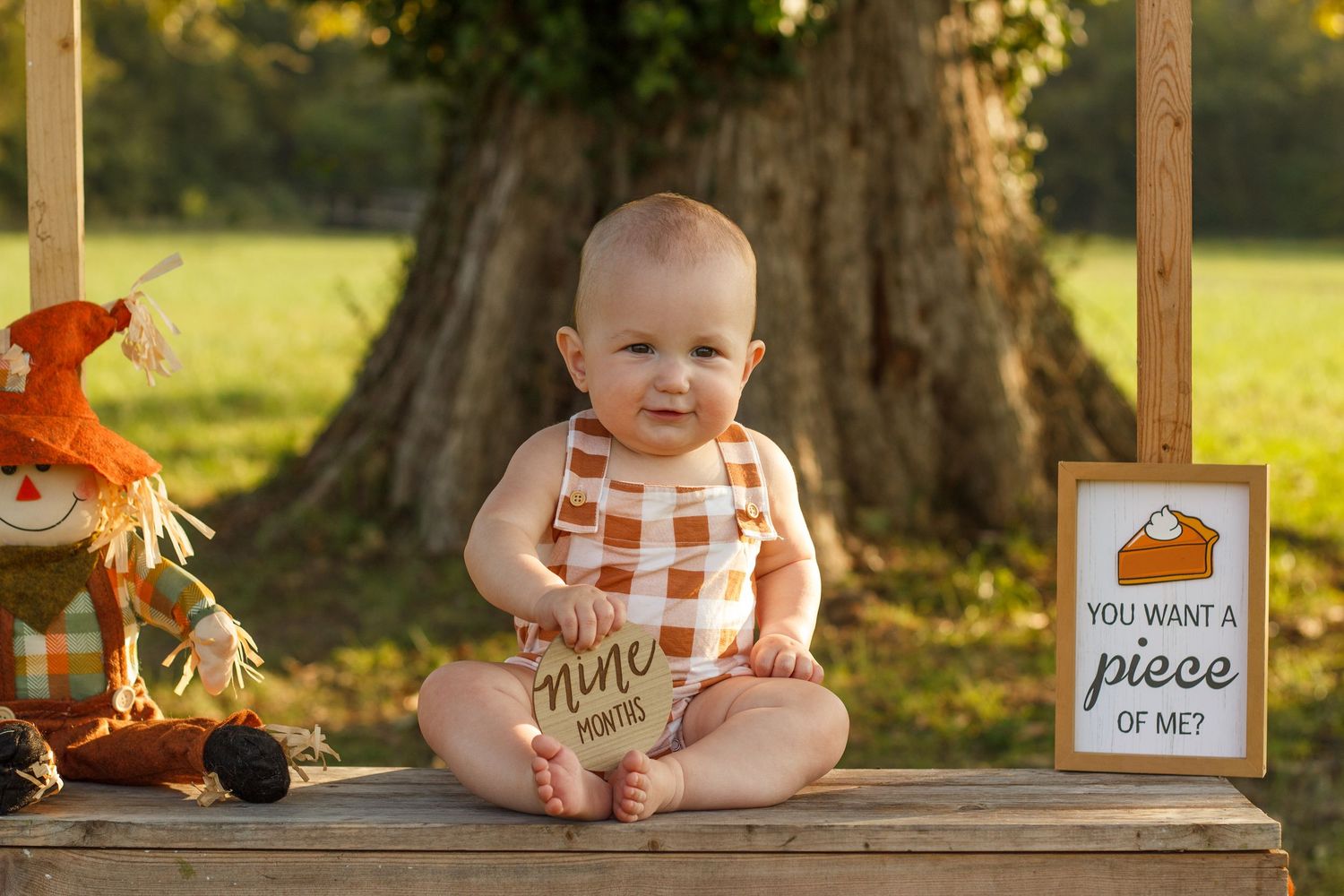 Baby girl in pumpkin patch next to milestone sign – Dalton GA fall baby photography.