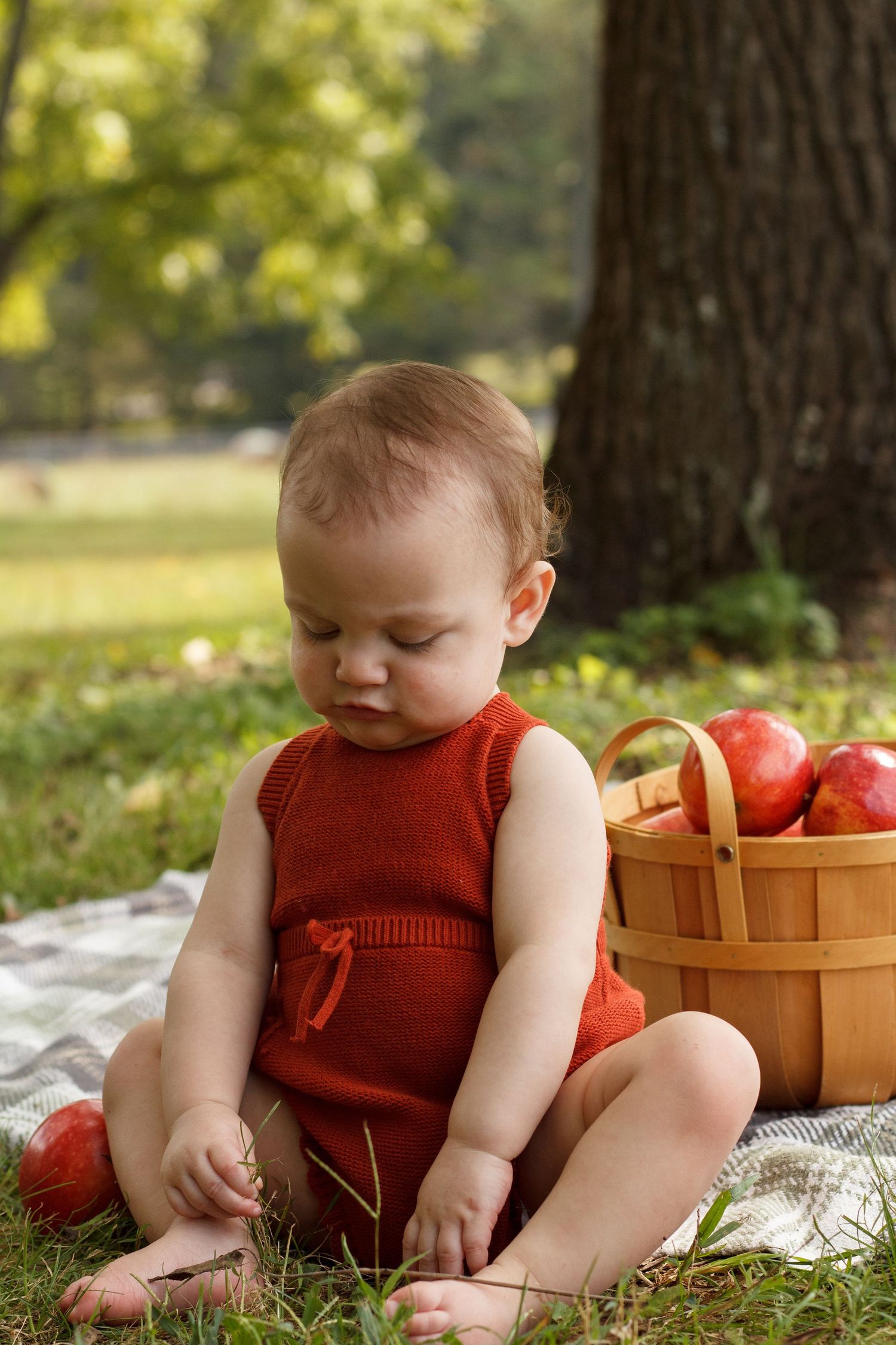 Baby sitting on a blanket under a tree with apples during a fall milestone photography session in Dalton, Georgia.
