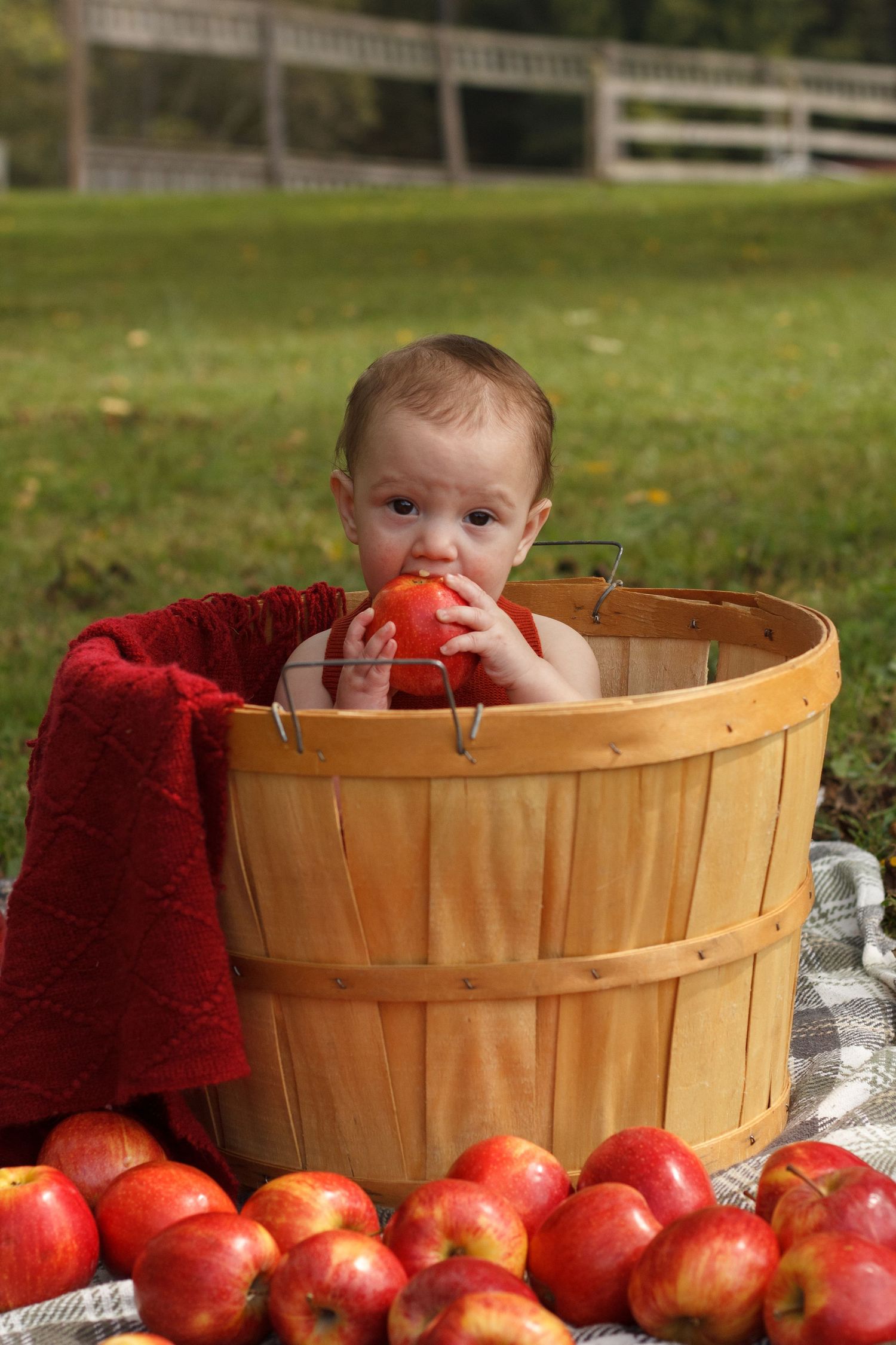 Baby holding an apple while sitting in a wooden apple basket during an outdoor milestone photography session in Dalton, Georgia.