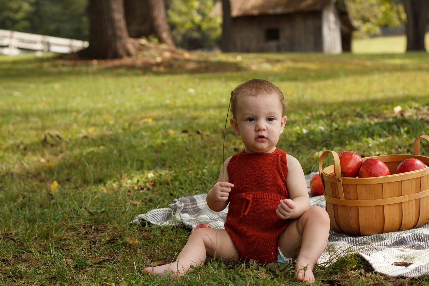 Baby sitting on a blanket next to a basket of apples during an outdoor milestone photography session in Dalton, Georgia.
