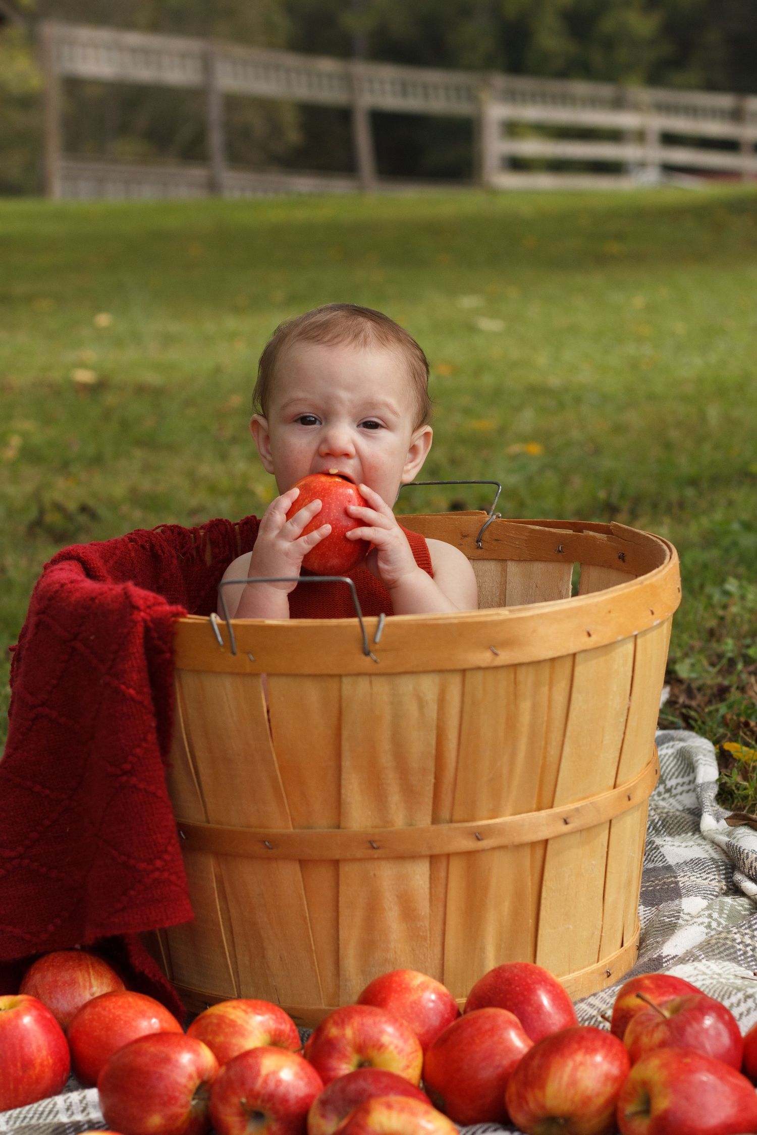 Baby girl in an apple basket eating an apple during a Dalton Georgia Milestone Session