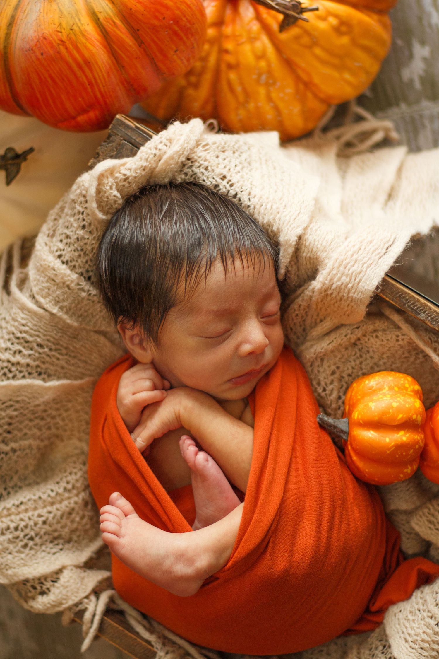 Newborn baby wrapped in burnt orange wrap with pumpkins - Dalton GA newborn photography
